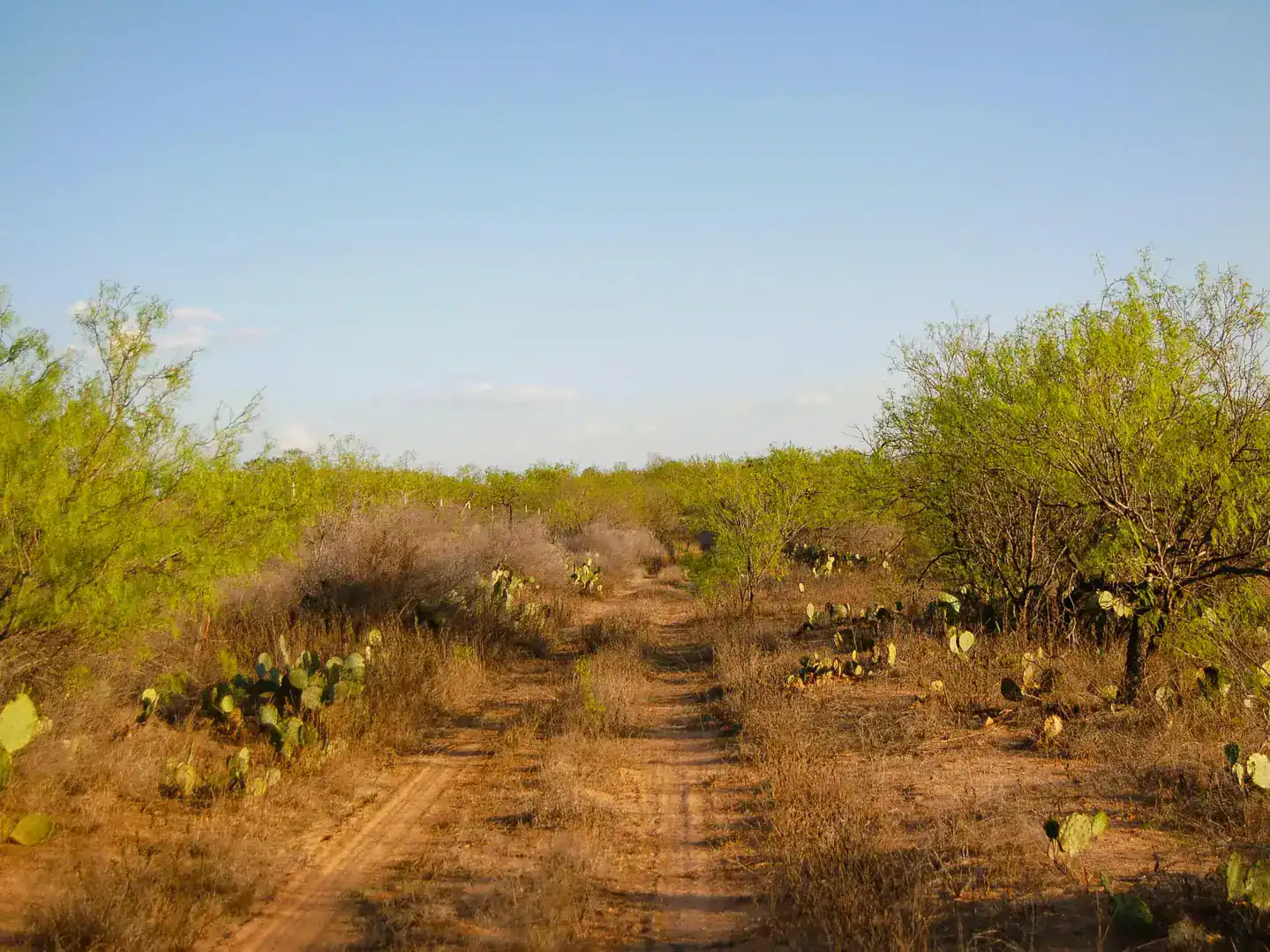 Fm 126 Carrizo Springs TX 78834