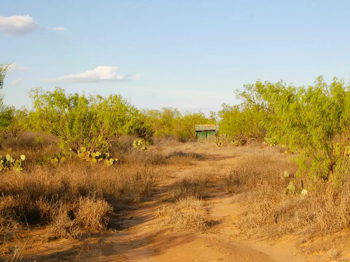 Fm 126 Carrizo Springs TX 78834