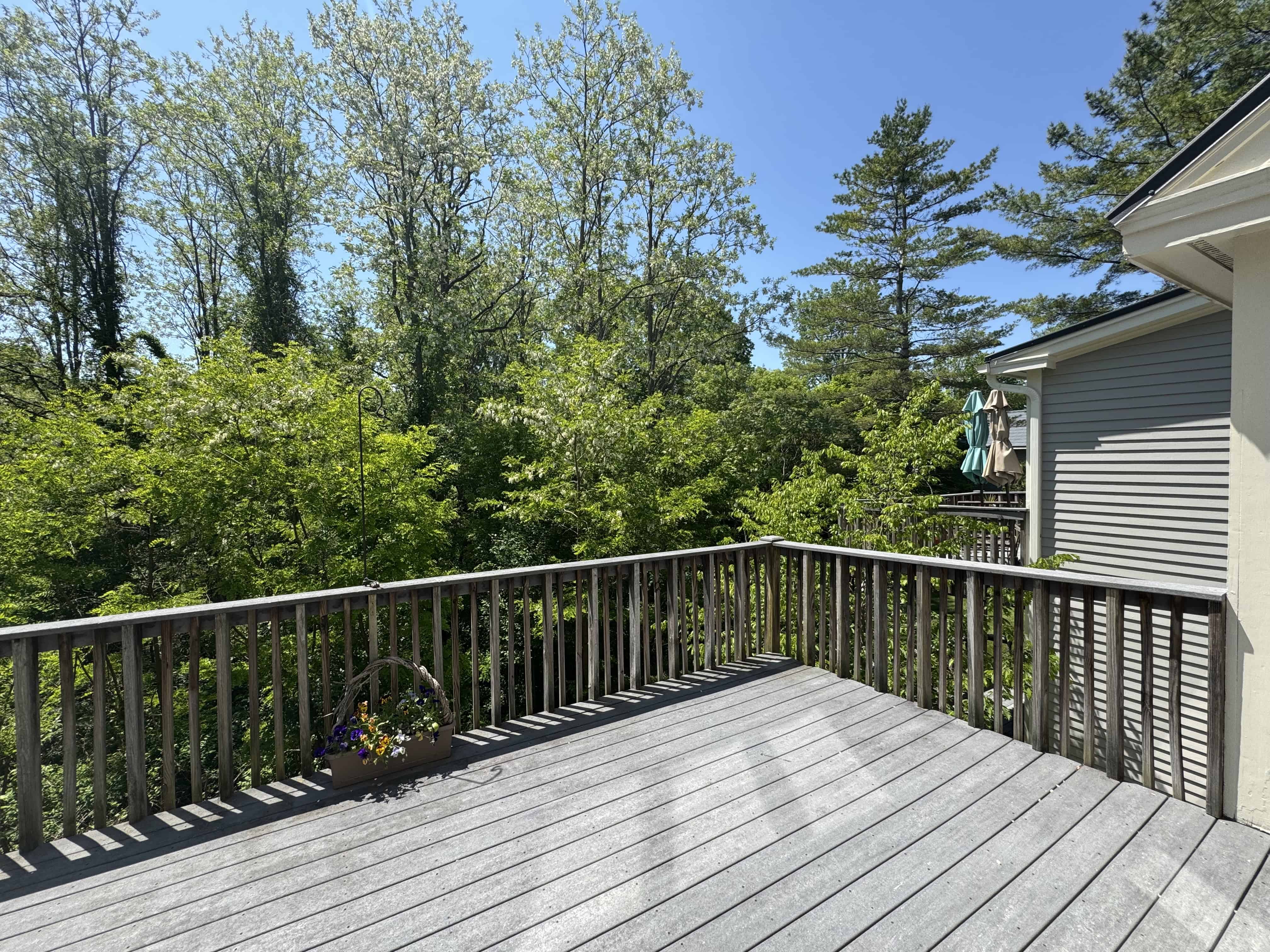 Manchester VT 05254