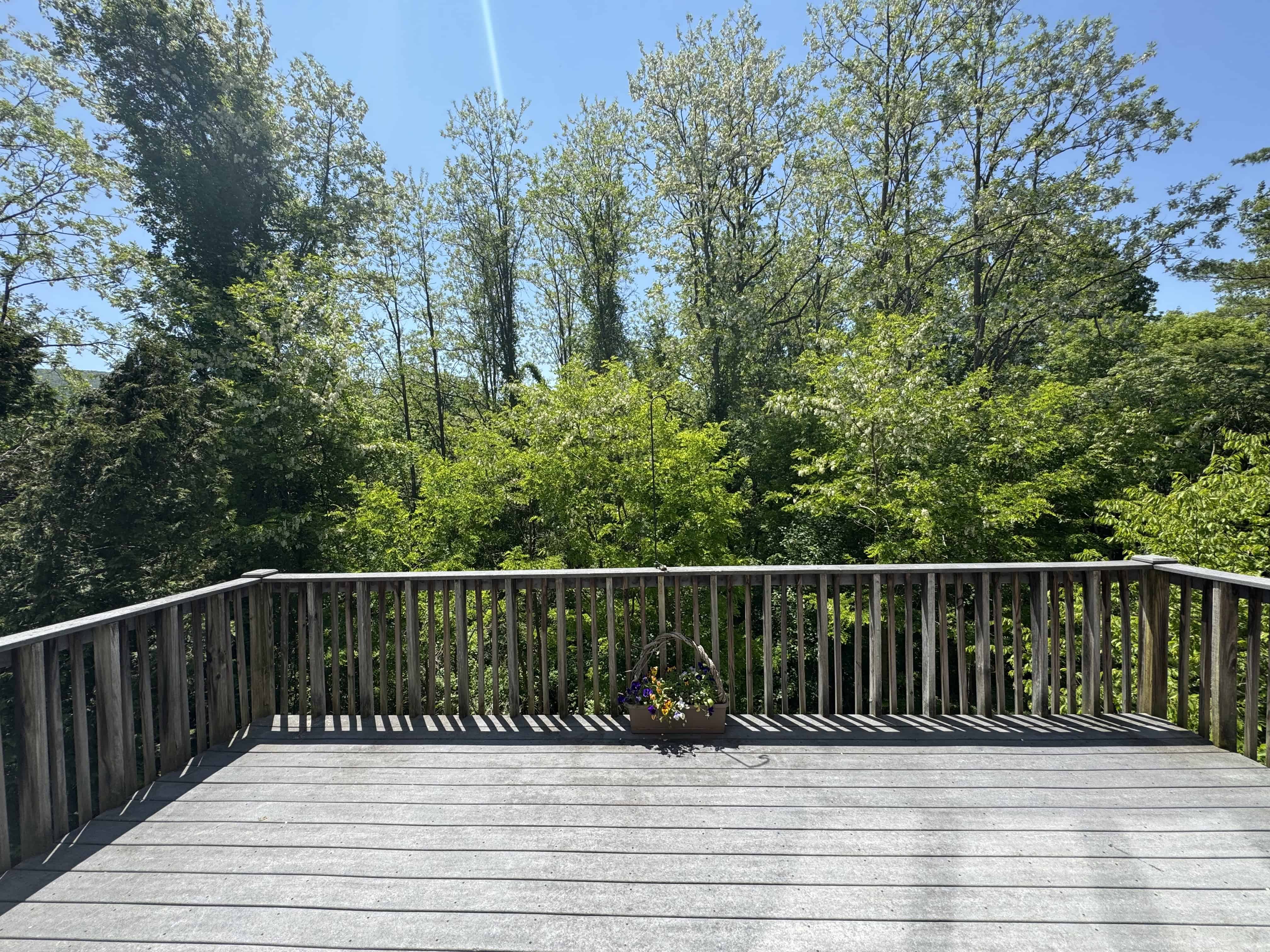 Manchester VT 05254