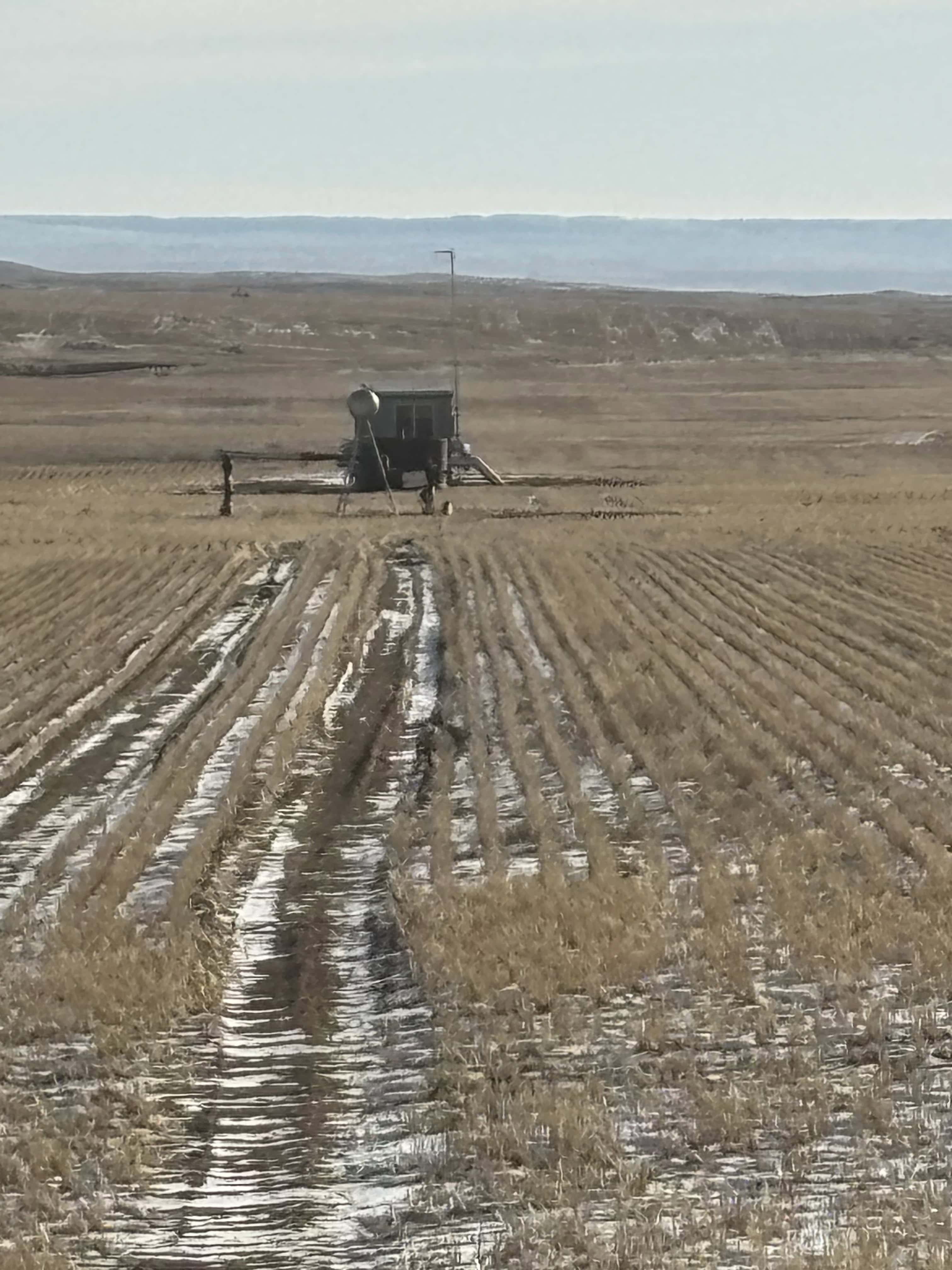 NE 12 14 30 W3 Golden Prairie SK