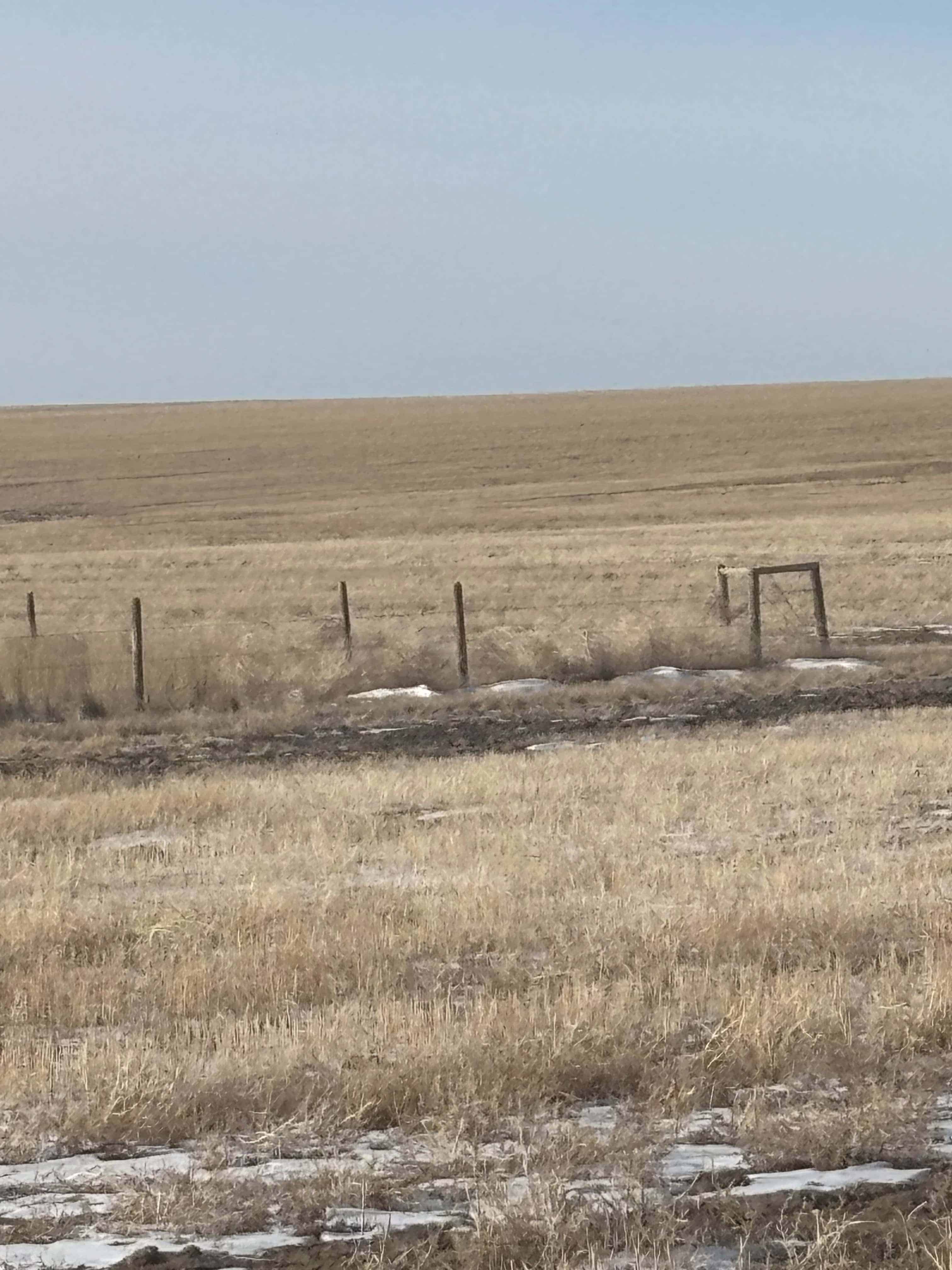 NE 12 14 30 W3 Golden Prairie SK