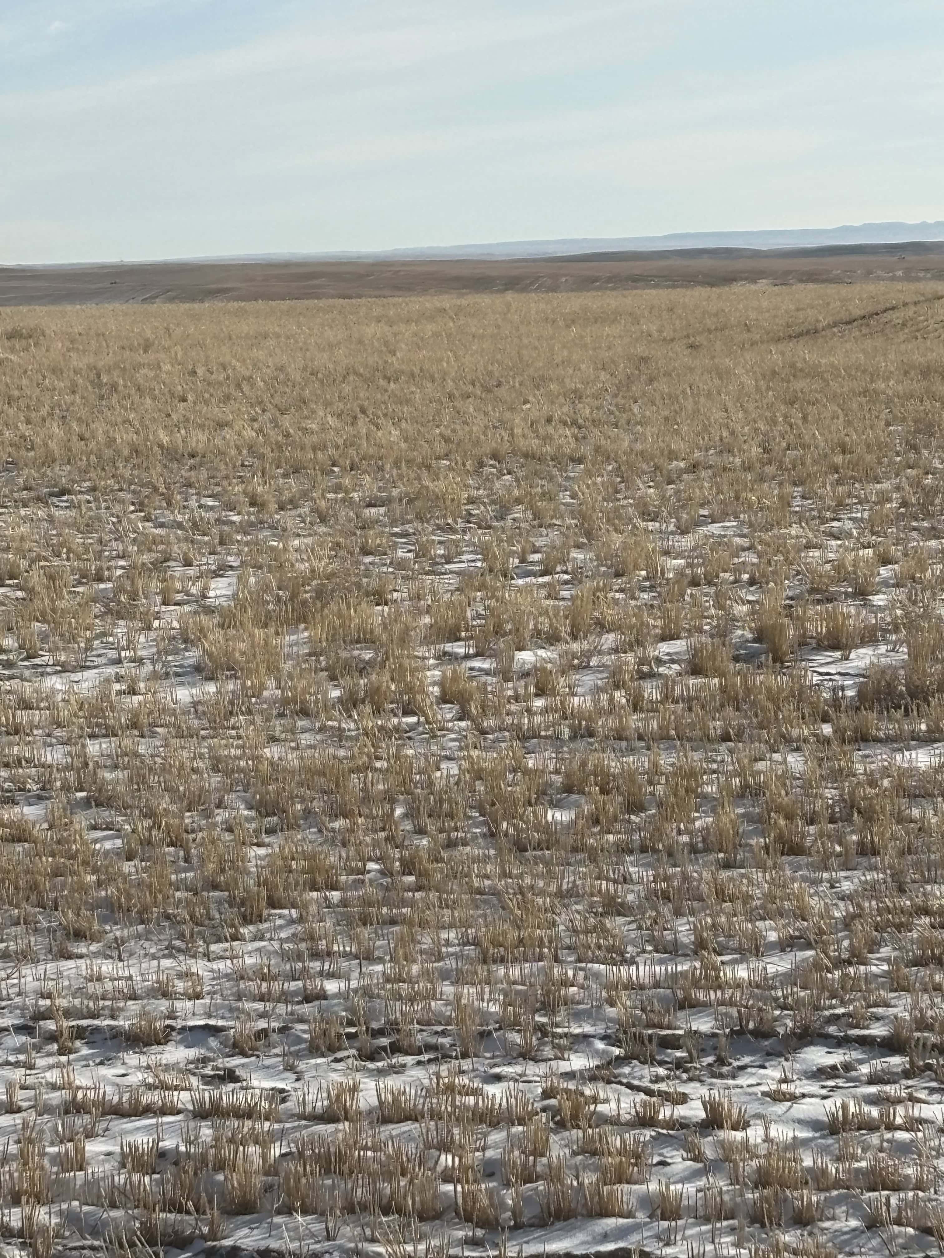 NE 12 14 30 W3 Golden Prairie SK