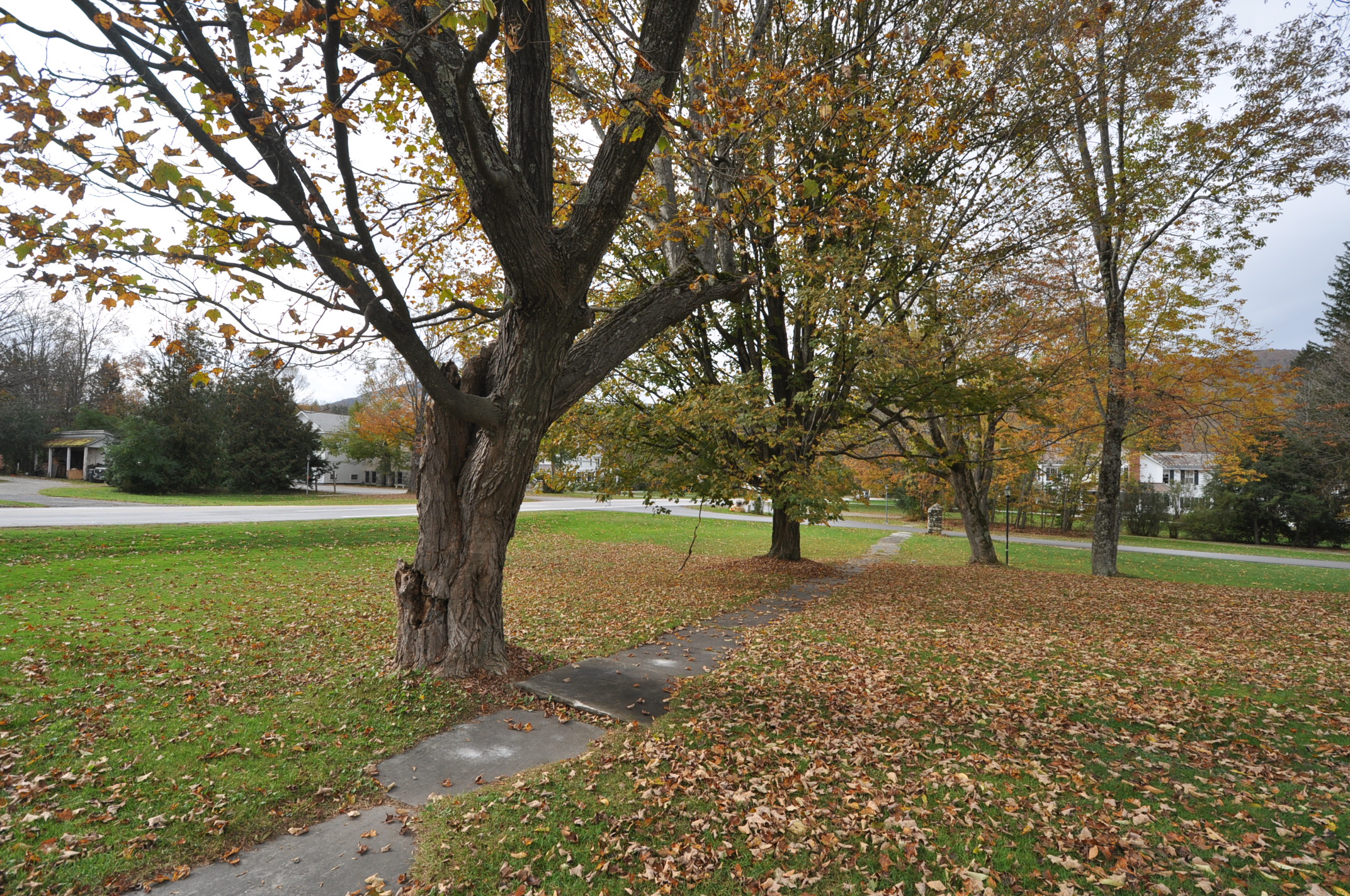 Dorset VT 05251
