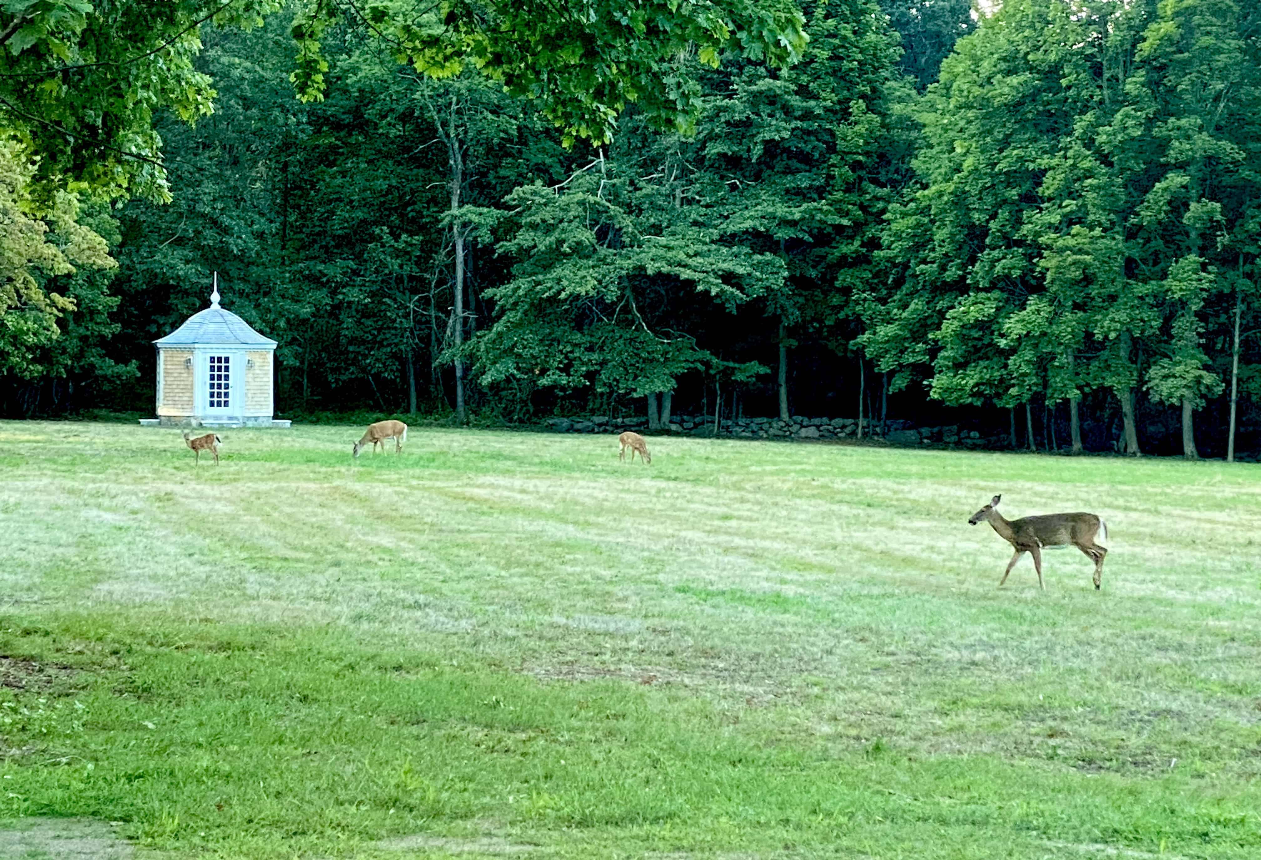 1452 Canton Avenue, Milton, MA 02186