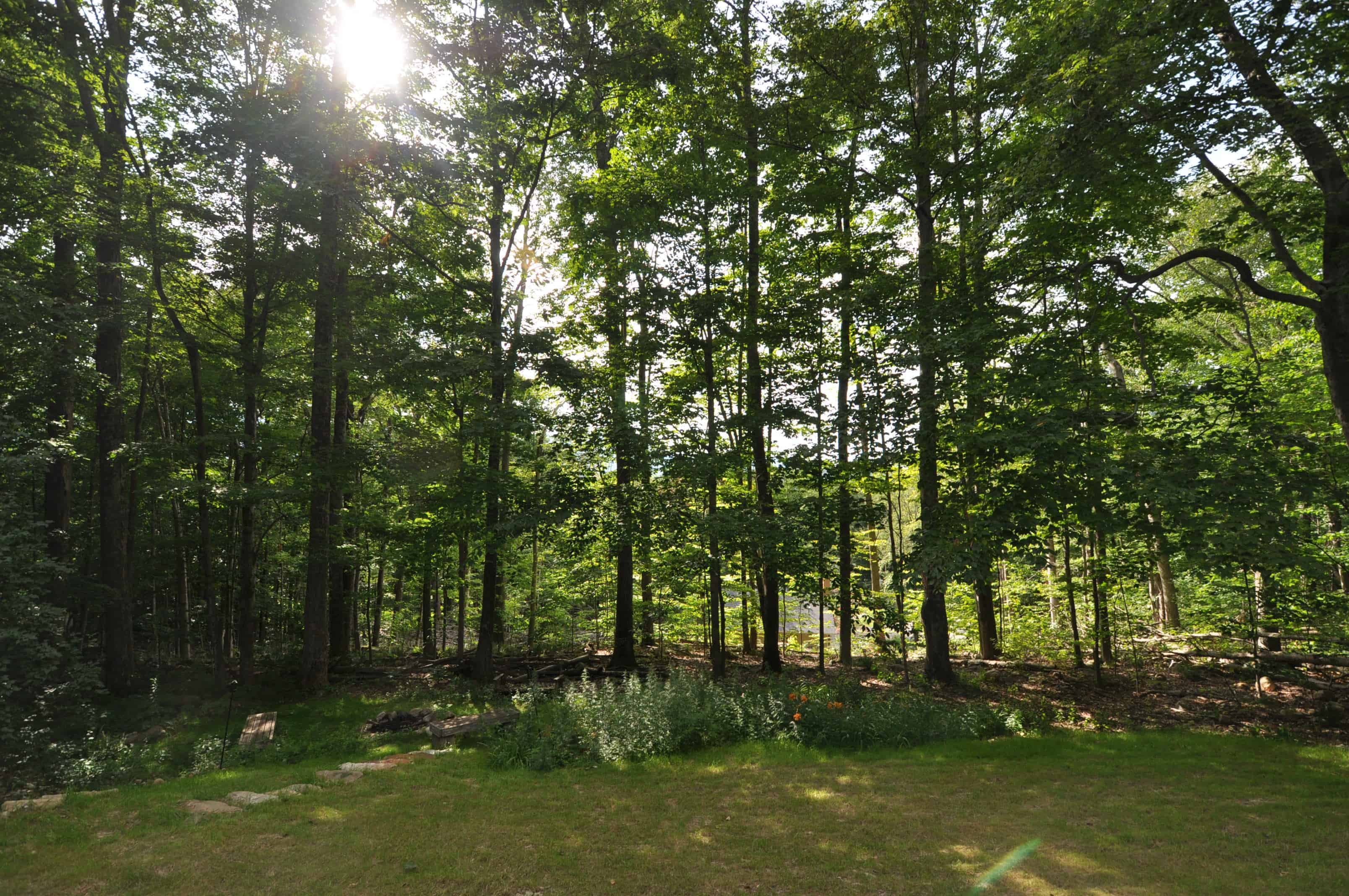 198 Little John Road, Manchester, Vt Manchester VT 05255