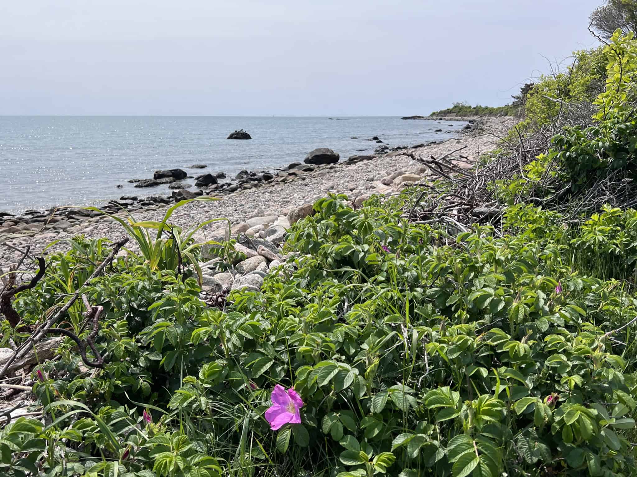 24 Ocean Drive Little Compton RI 02837