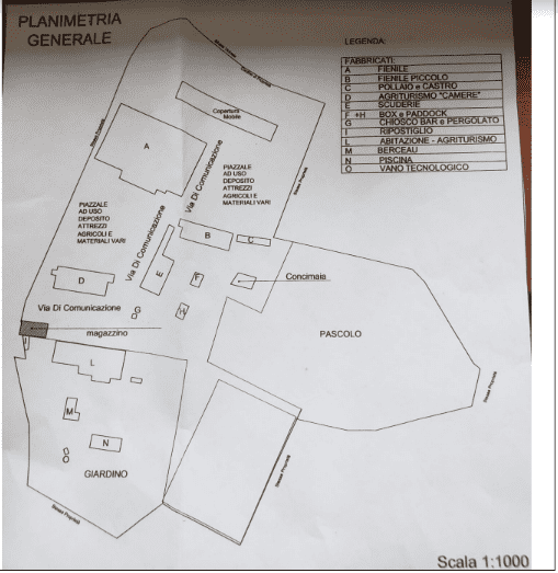 Rosignano Marittimo IT 57016