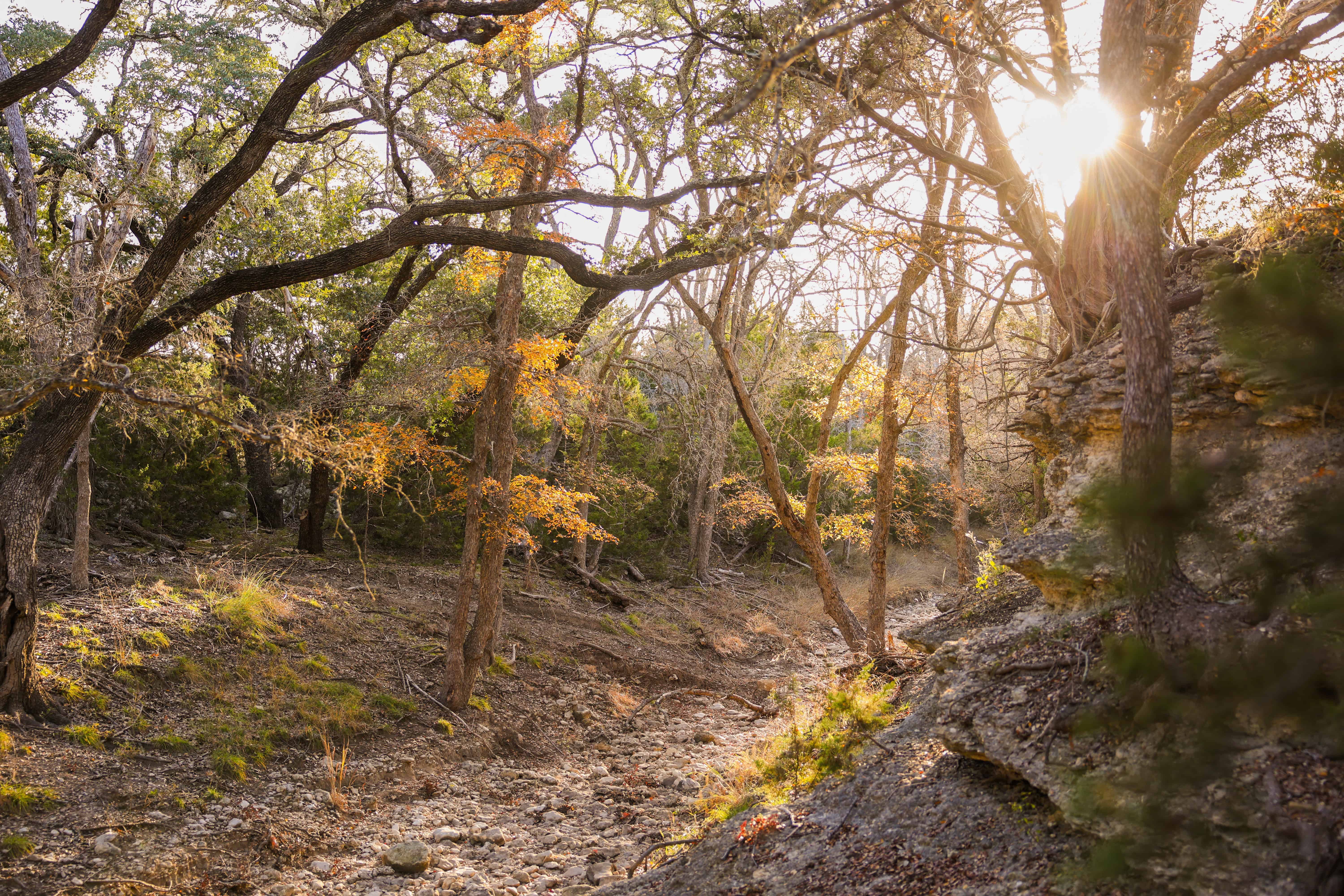 242 Model T Road Blanco TX 78606