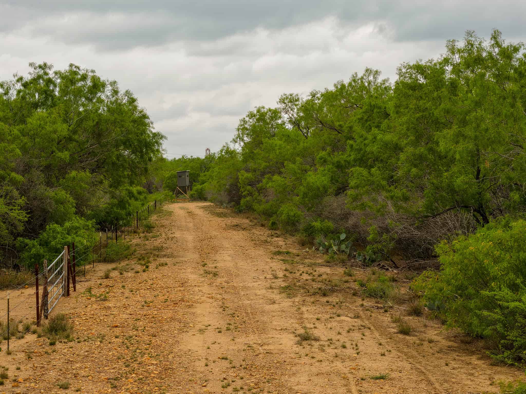 Pearsall TX 78061