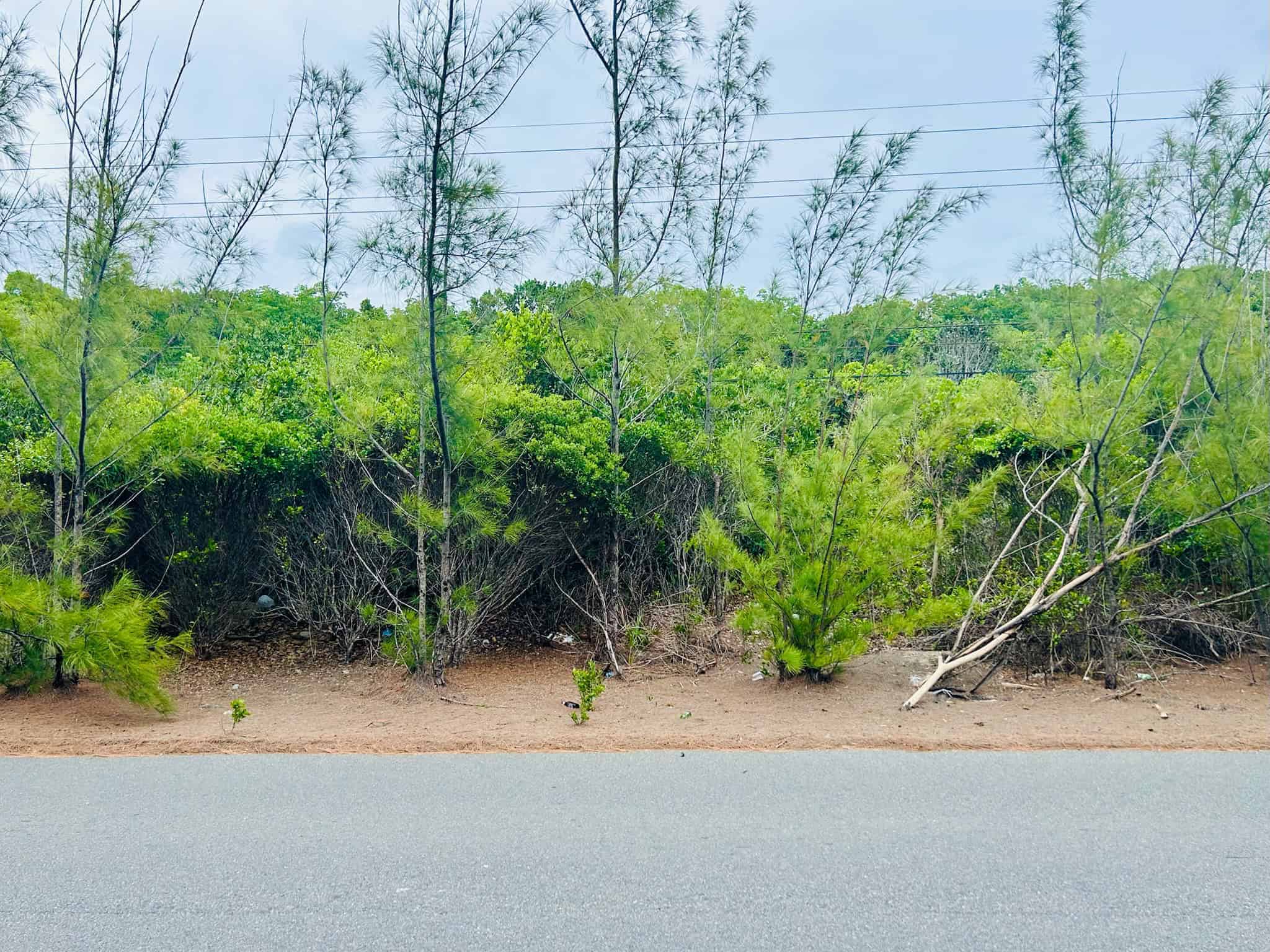 Eleuthera BS