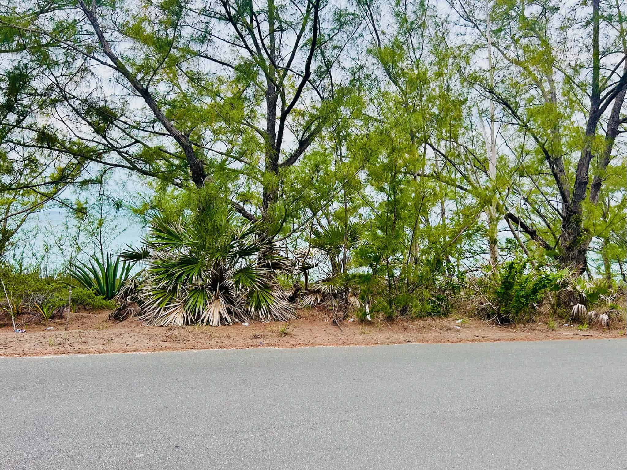 Eleuthera BS