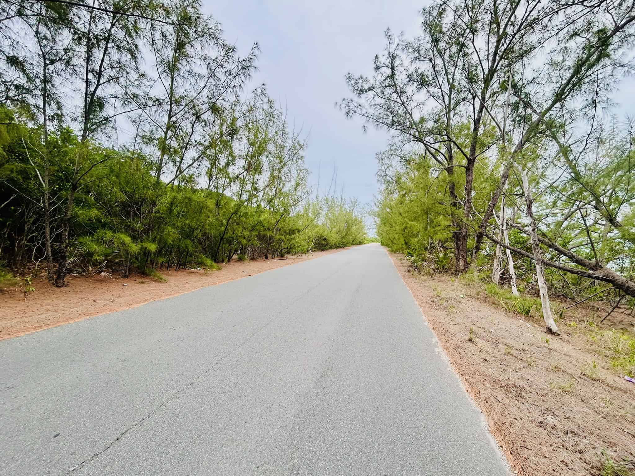 Eleuthera BS
