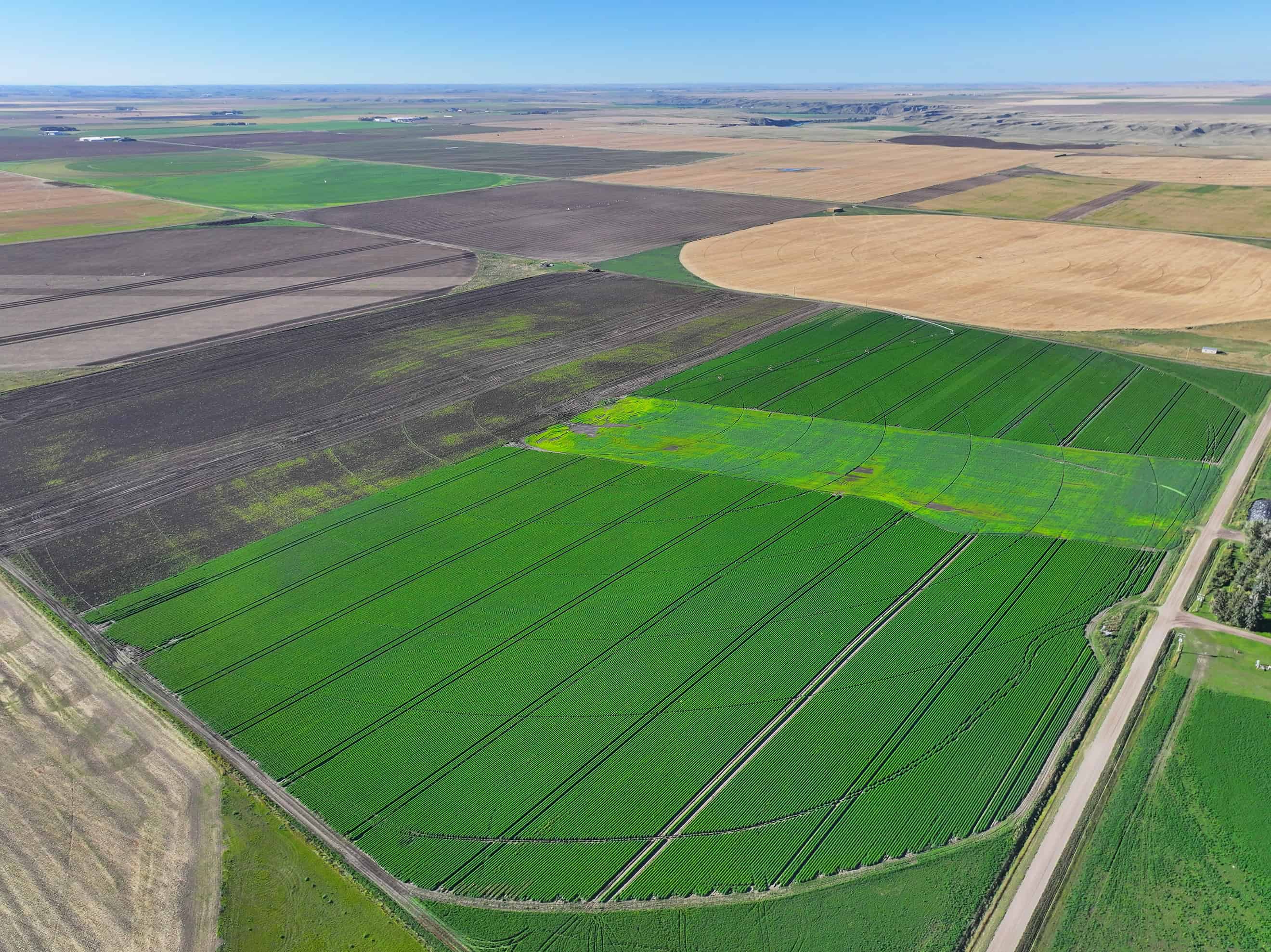 SE 9 10 18 W4 Cranford AB