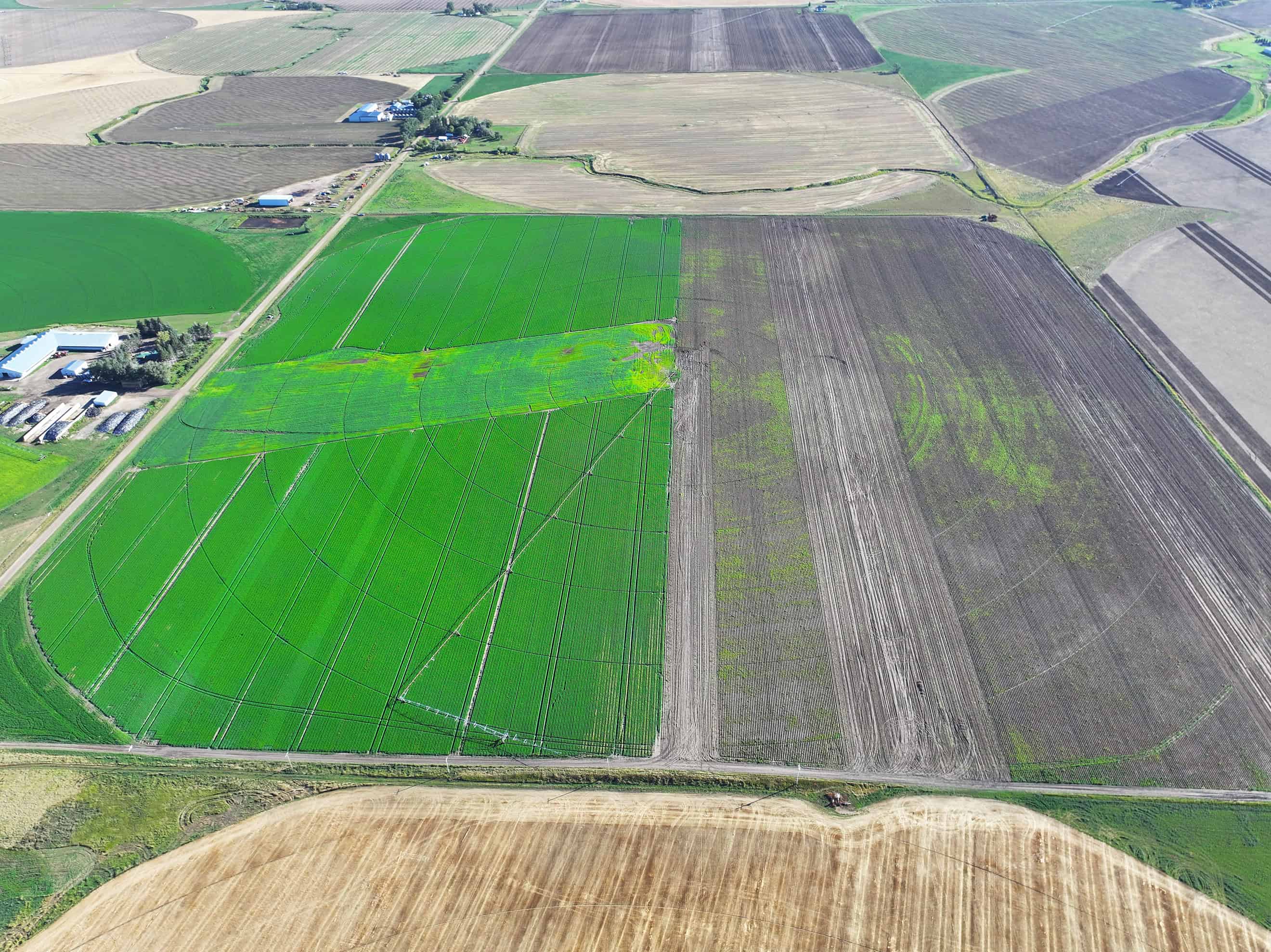 SE 9 10 18 W4 Cranford AB