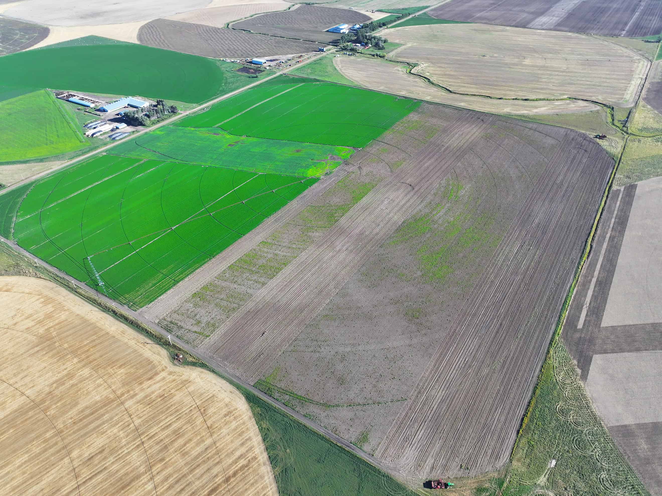 SE 9 10 18 W4 Cranford AB