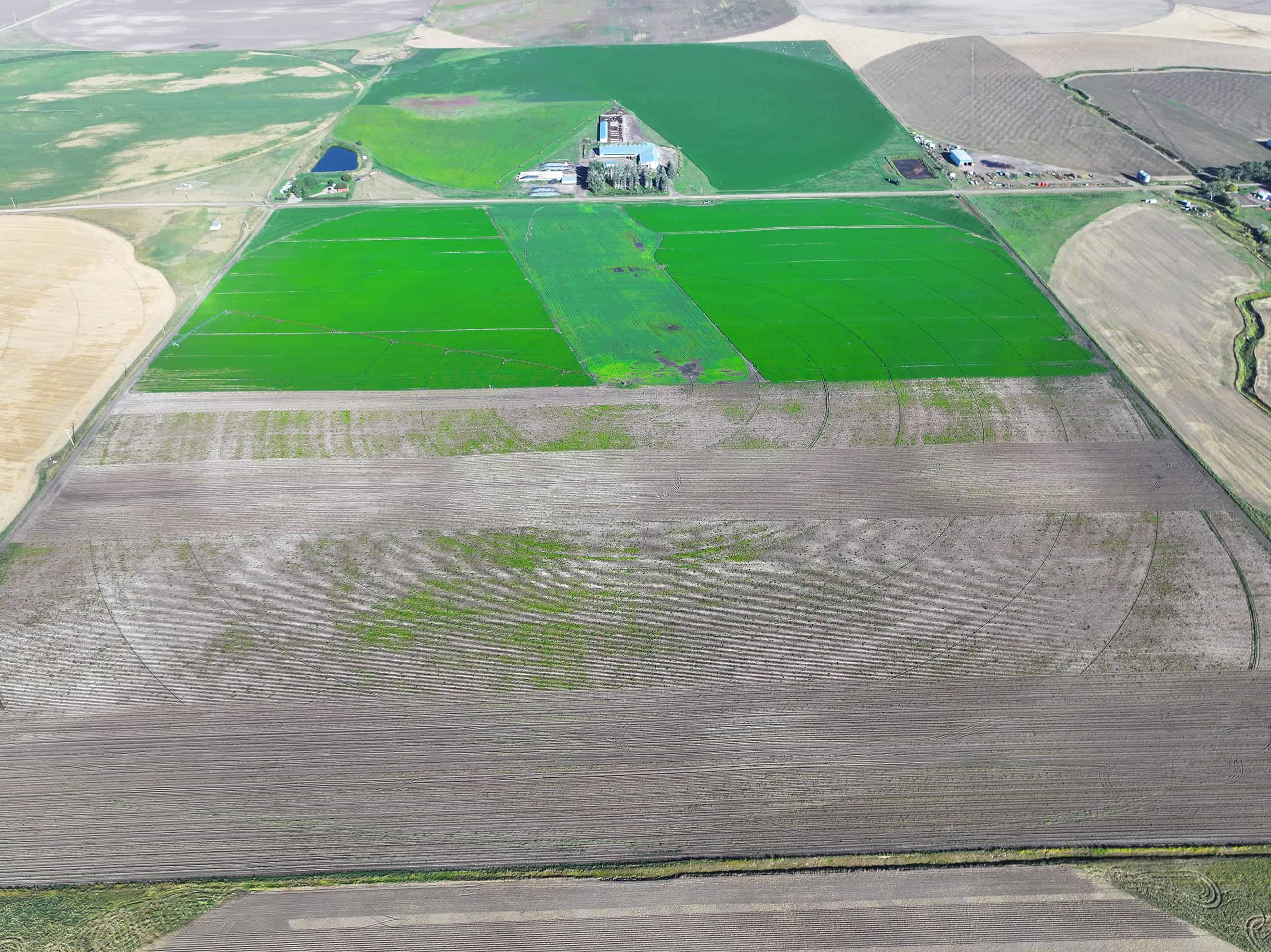 SE 9 10 18 W4 Cranford AB