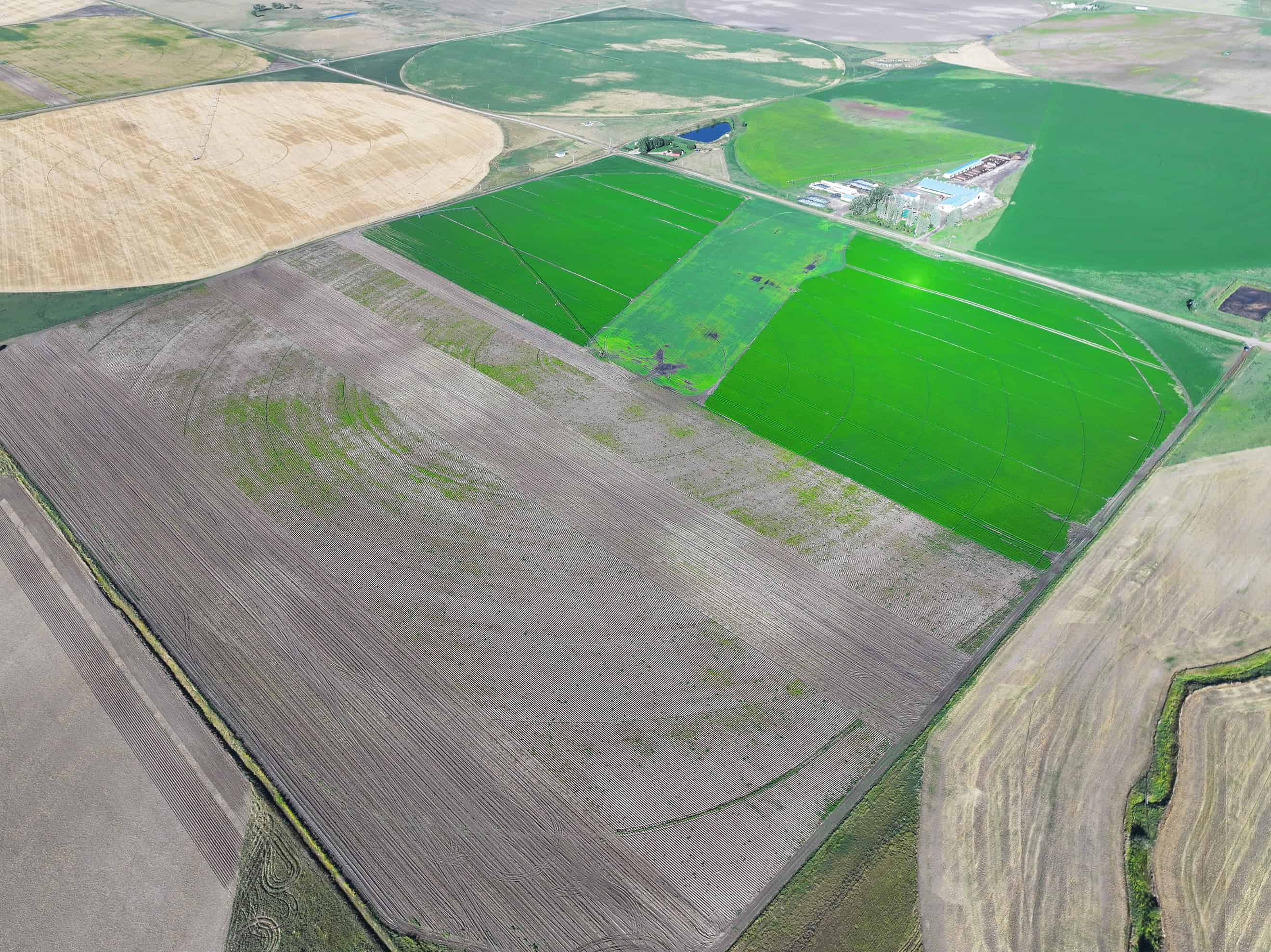 SE 9 10 18 W4 Cranford AB