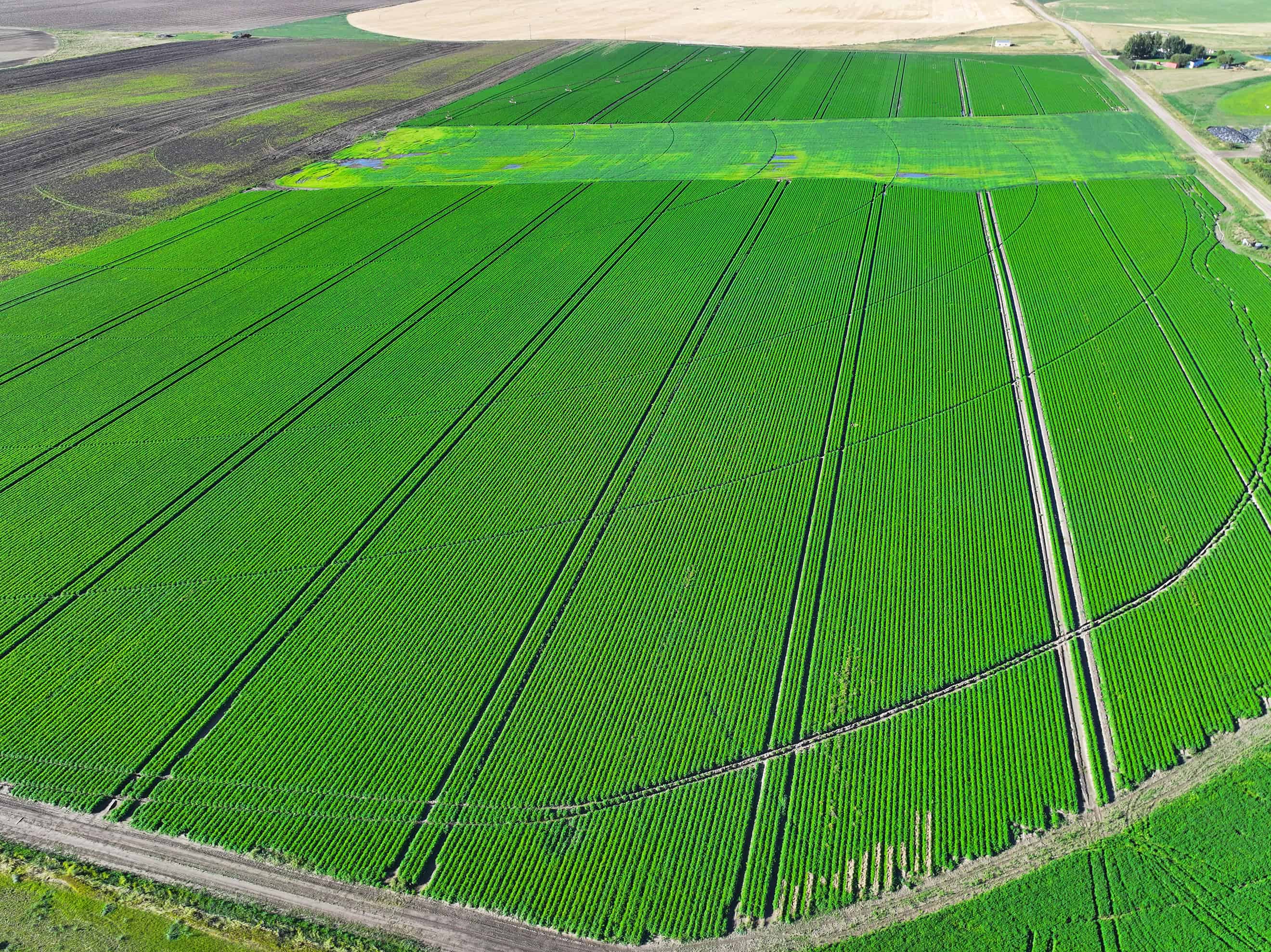SE 9 10 18 W4 Cranford AB