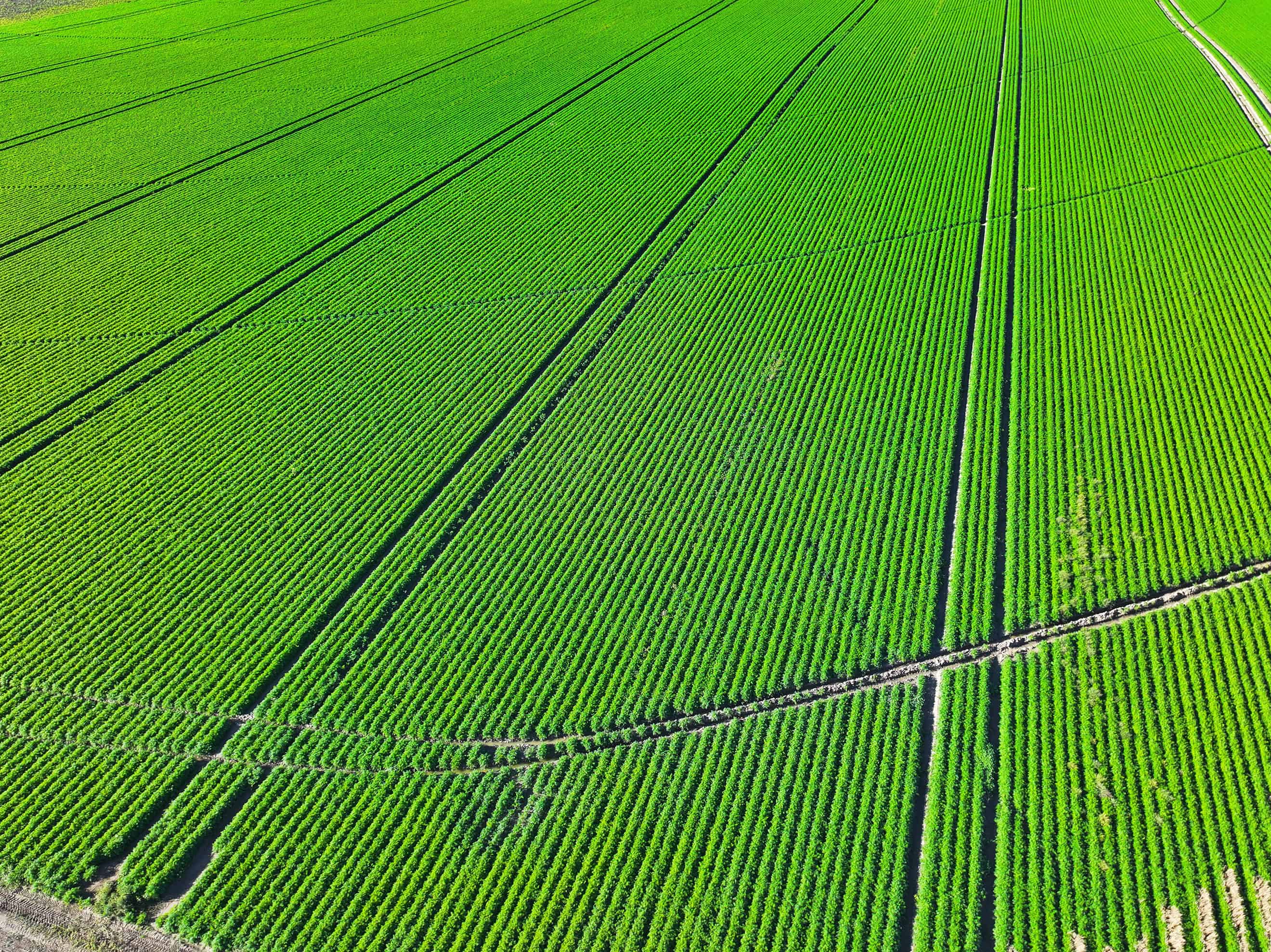 SE 9 10 18 W4 Cranford AB