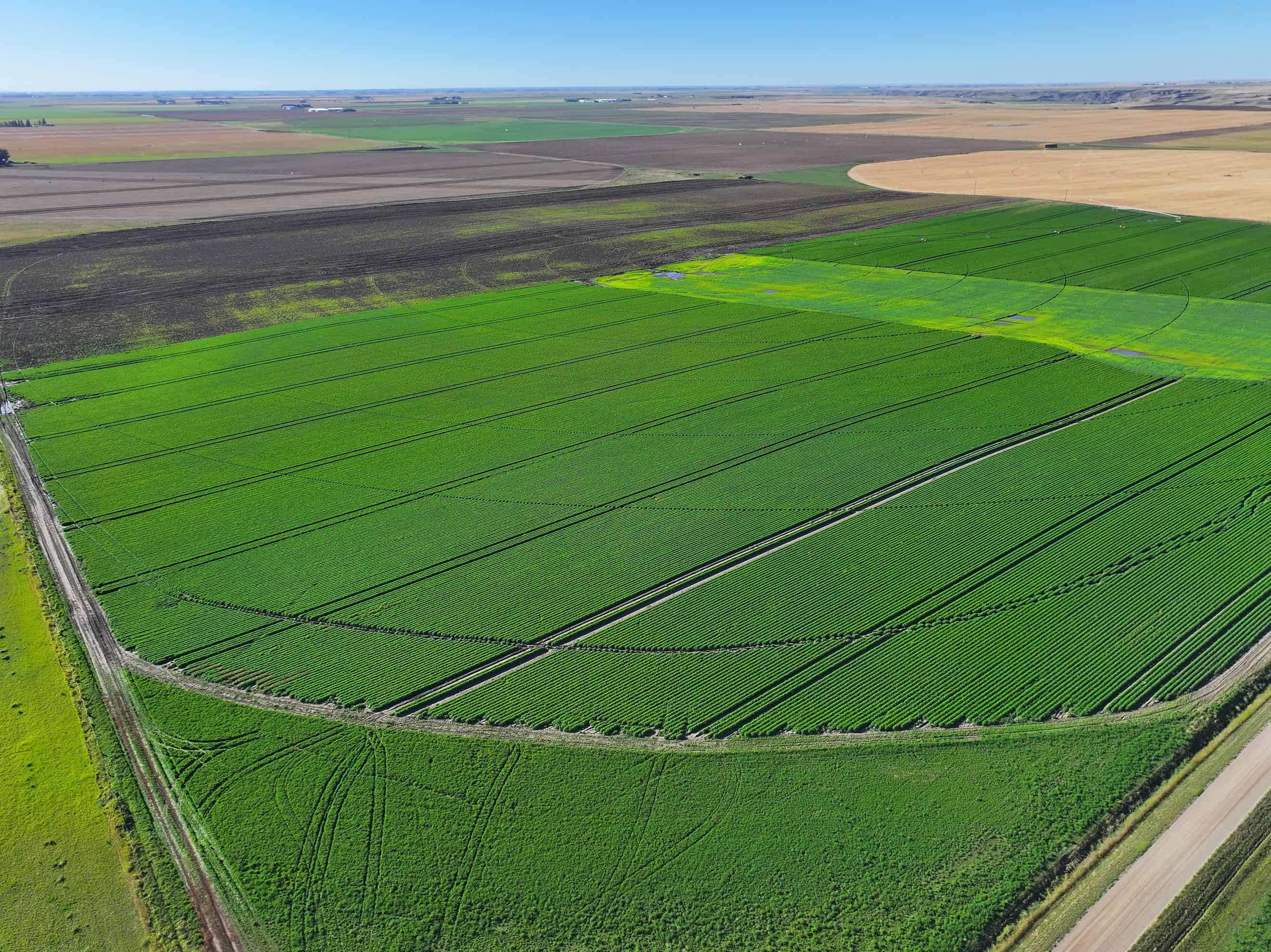 SE 9 10 18 W4 Cranford AB