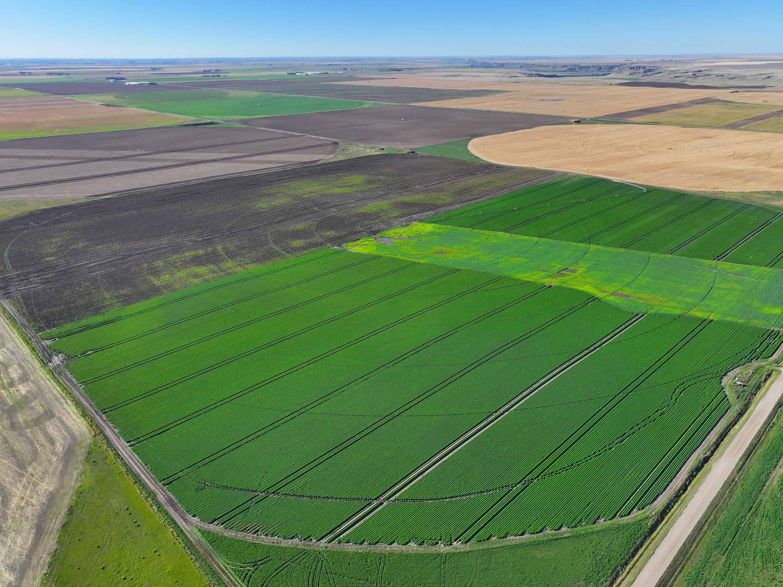SE 9 10 18 W4 Cranford AB