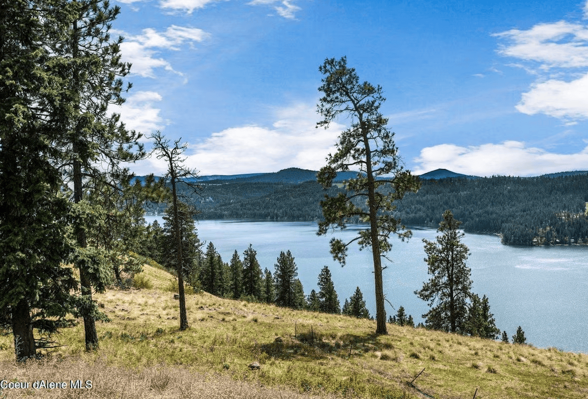 Harrison ID 83833