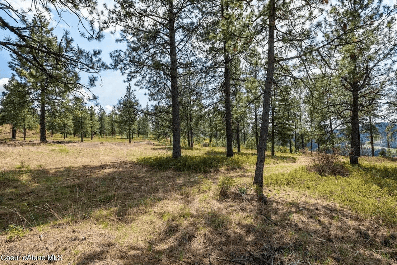 Harrison ID 83833