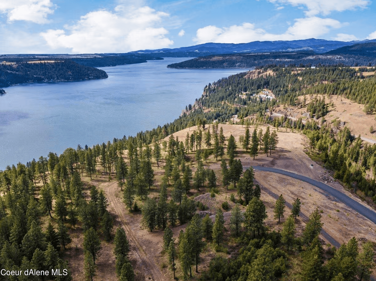 Harrison ID 83833