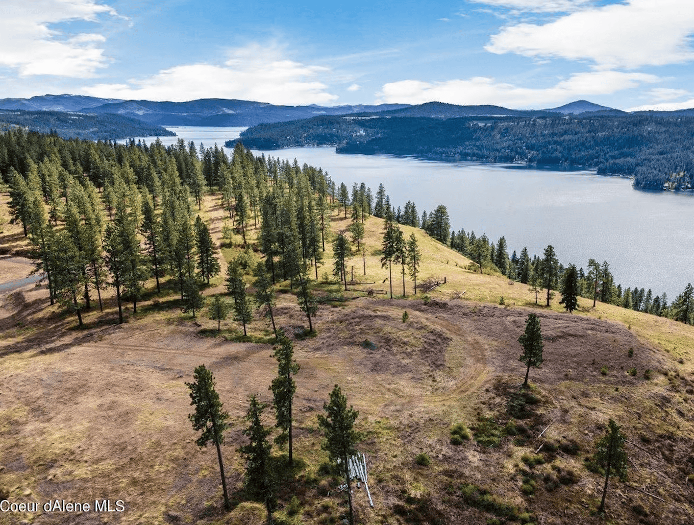 Harrison ID 83833