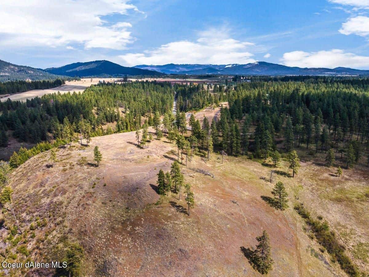 Harrison ID 83833
