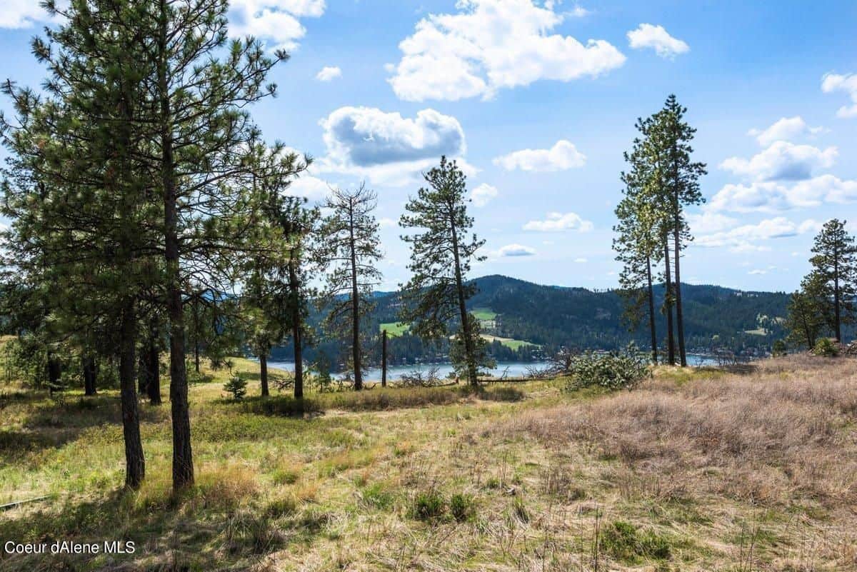 Harrison ID 83833