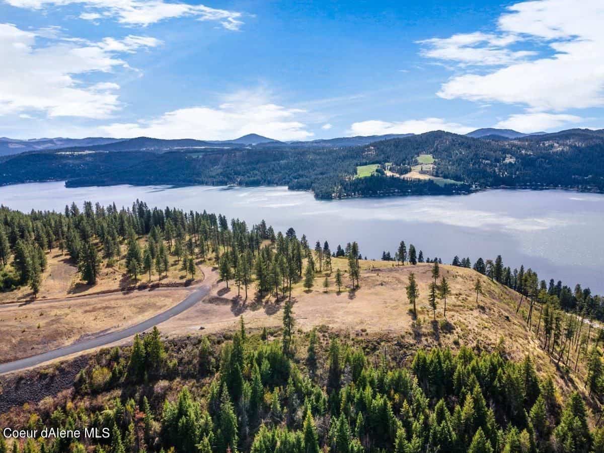 Harrison ID 83833