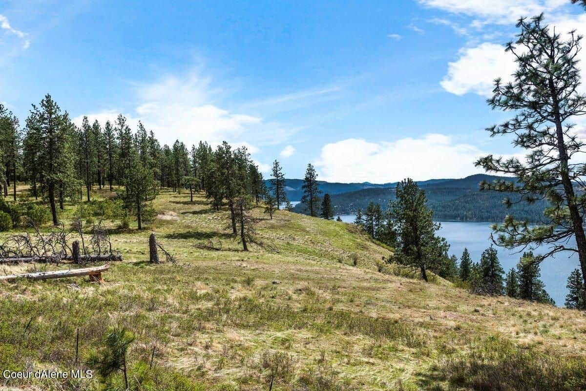 Harrison ID 83833