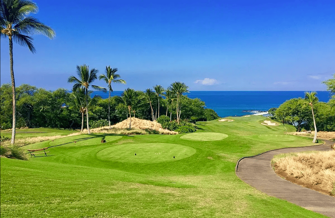 62-3922 Kaunaoa Iki Road Kohala Coast HI 96743