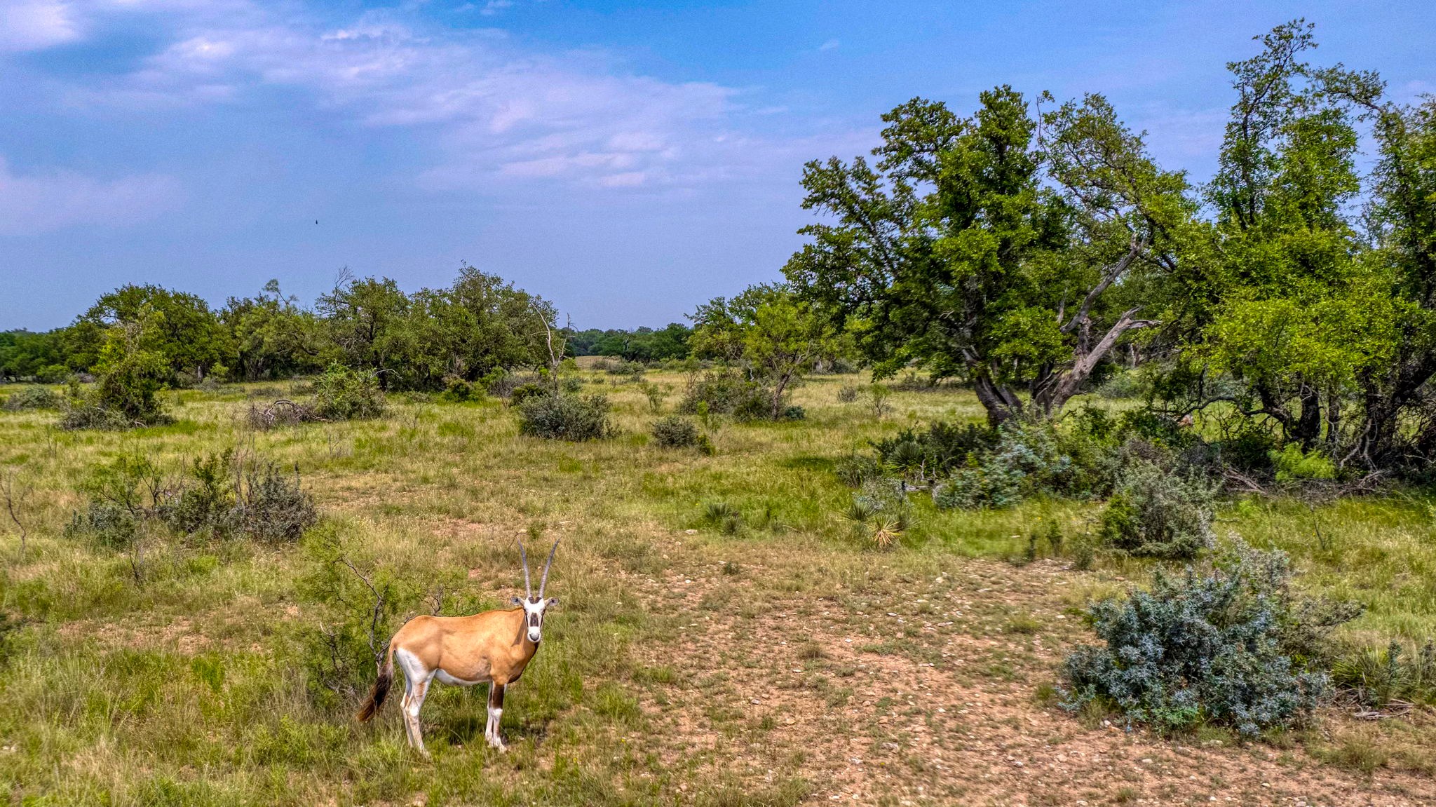 4130 Co Road 3326 Eden TX 76837