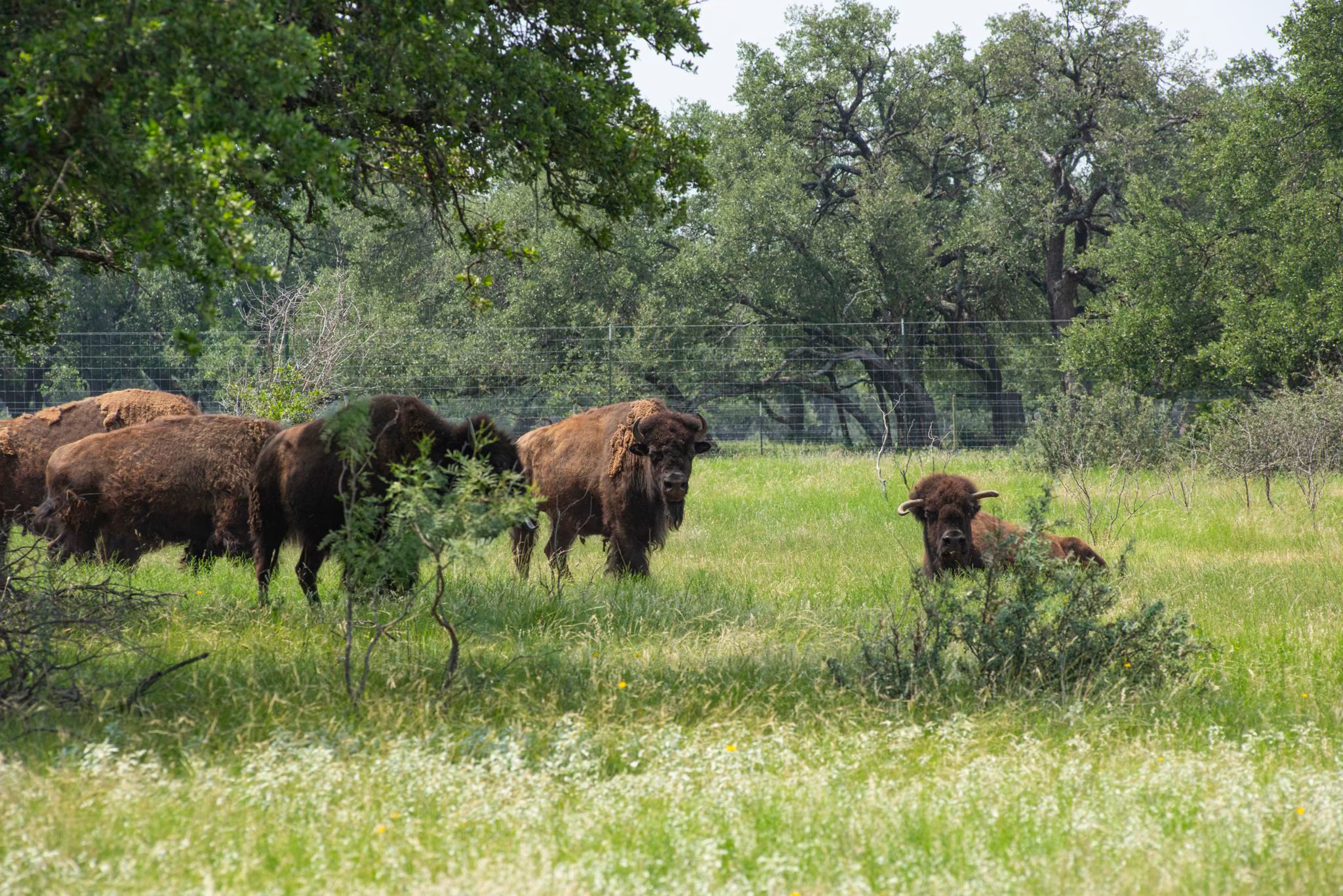 4130 Co Road 3326 Eden TX 76837