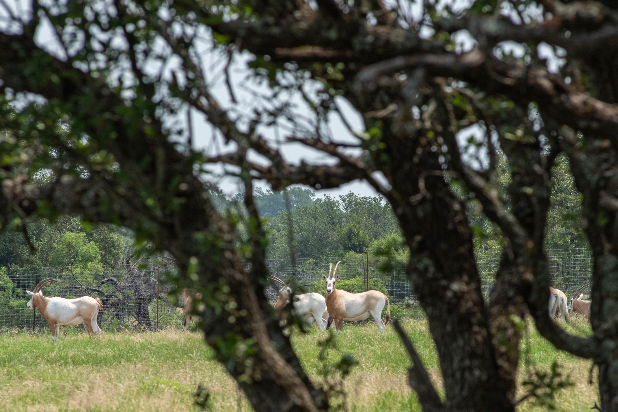 4130 Co Road 3326 Eden TX 76837