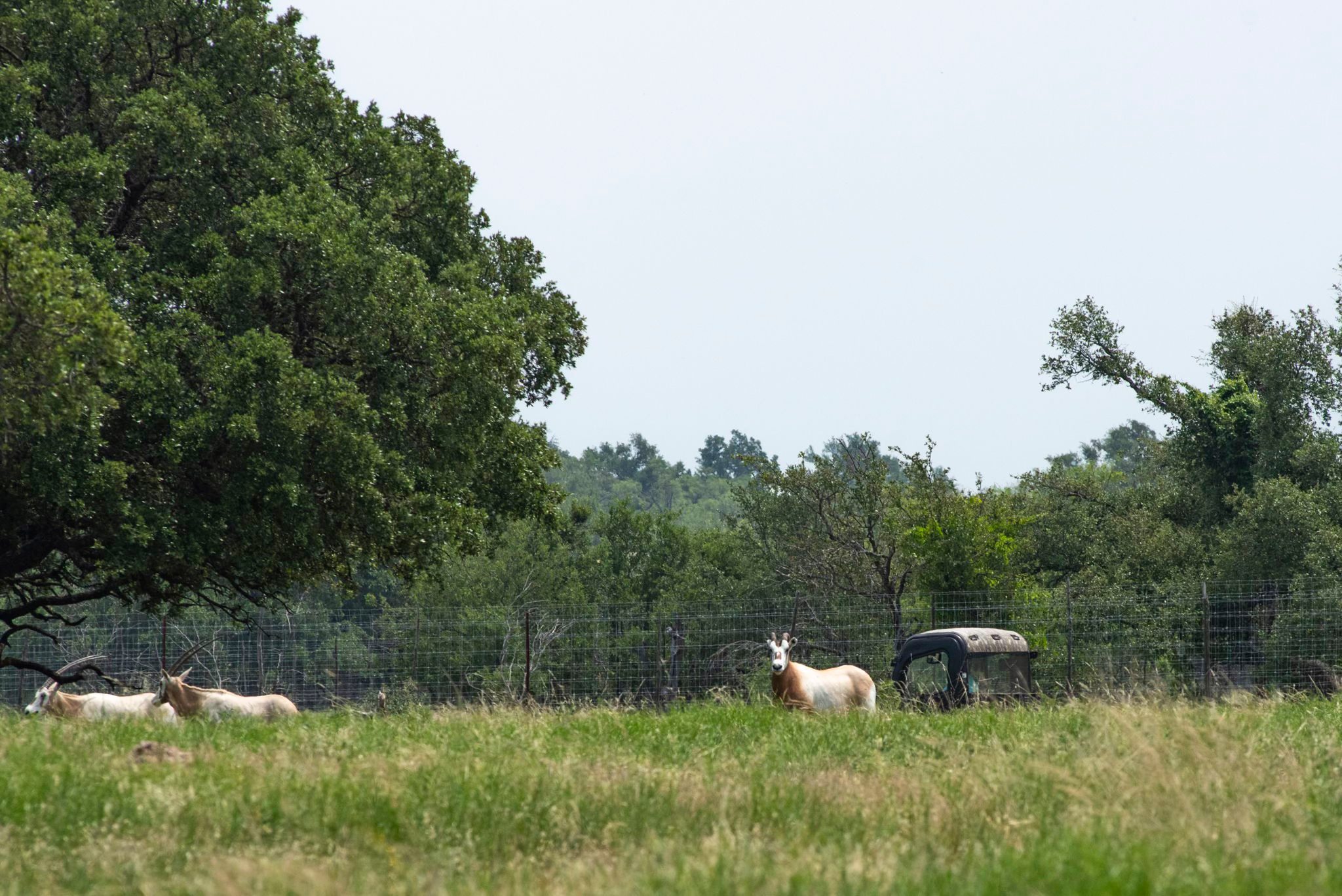 4130 Co Road 3326 Eden TX 76837