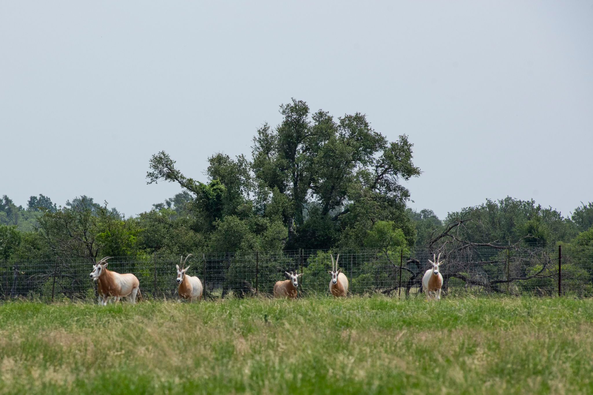 4130 Co Road 3326 Eden TX 76837