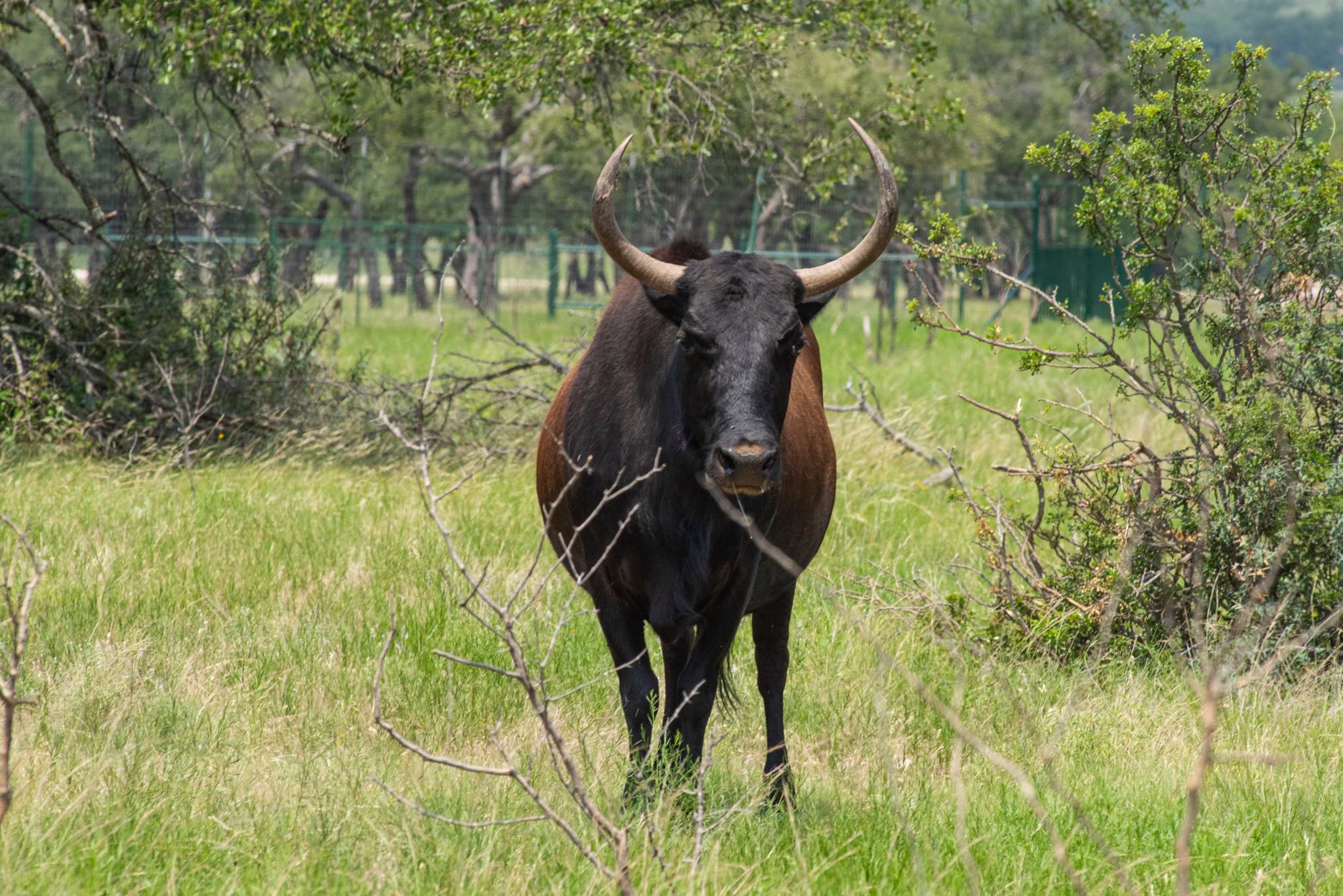 4130 Co Road 3326 Eden TX 76837