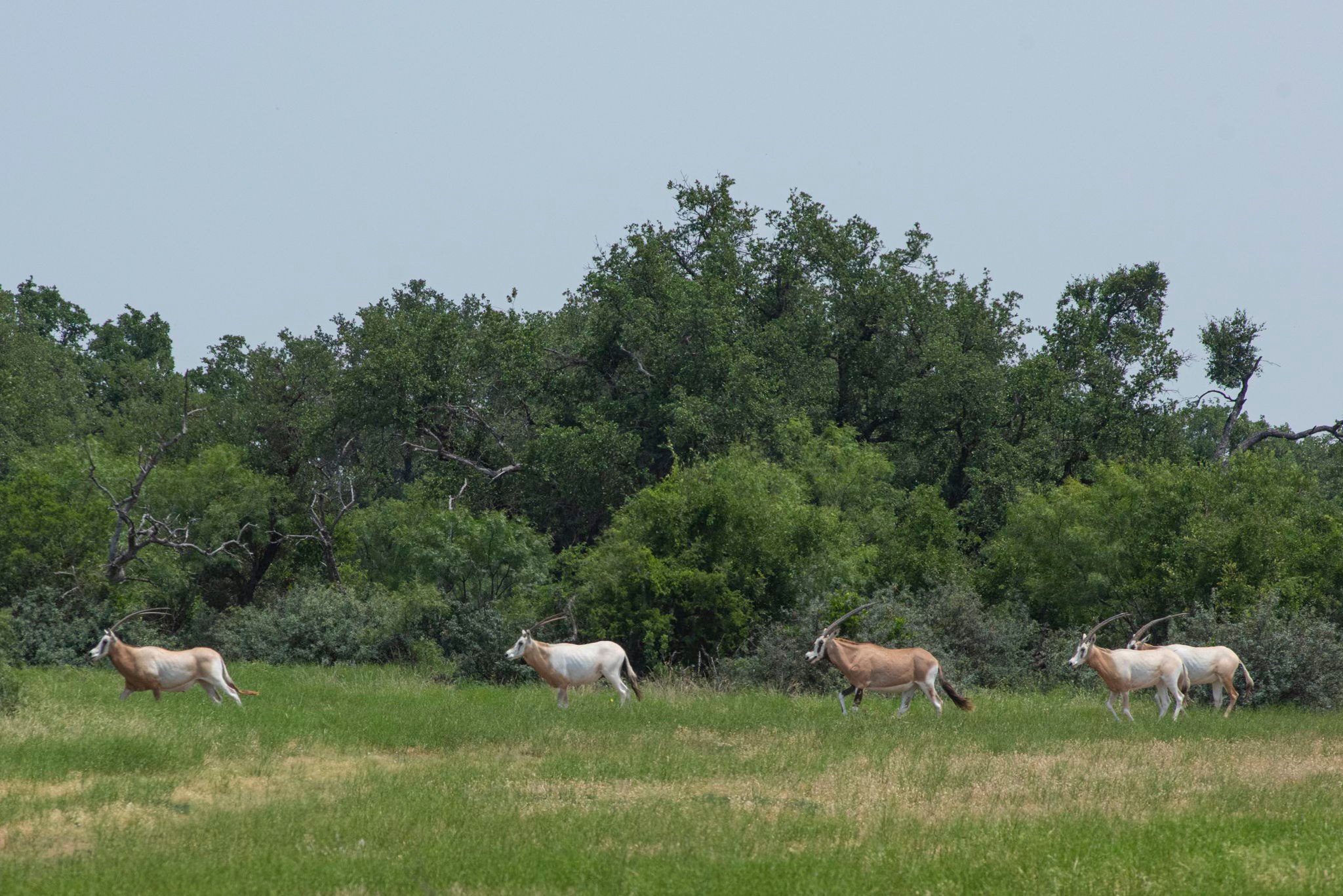 4130 Co Road 3326 Eden TX 76837