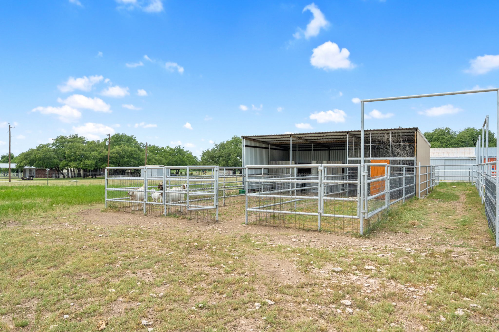 4130 Co Road 3326 Eden TX 76837