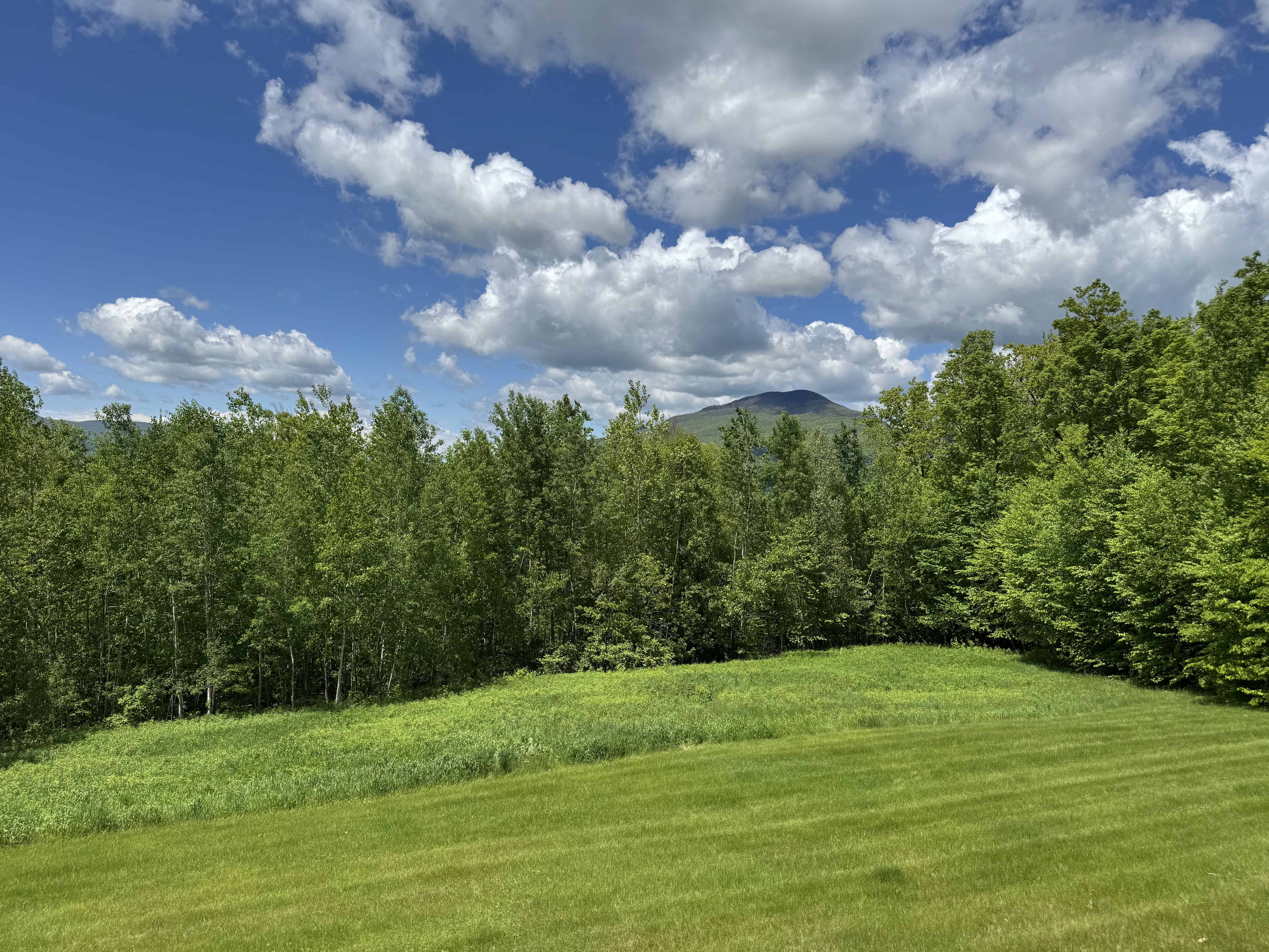 Manchester Center VT 05255