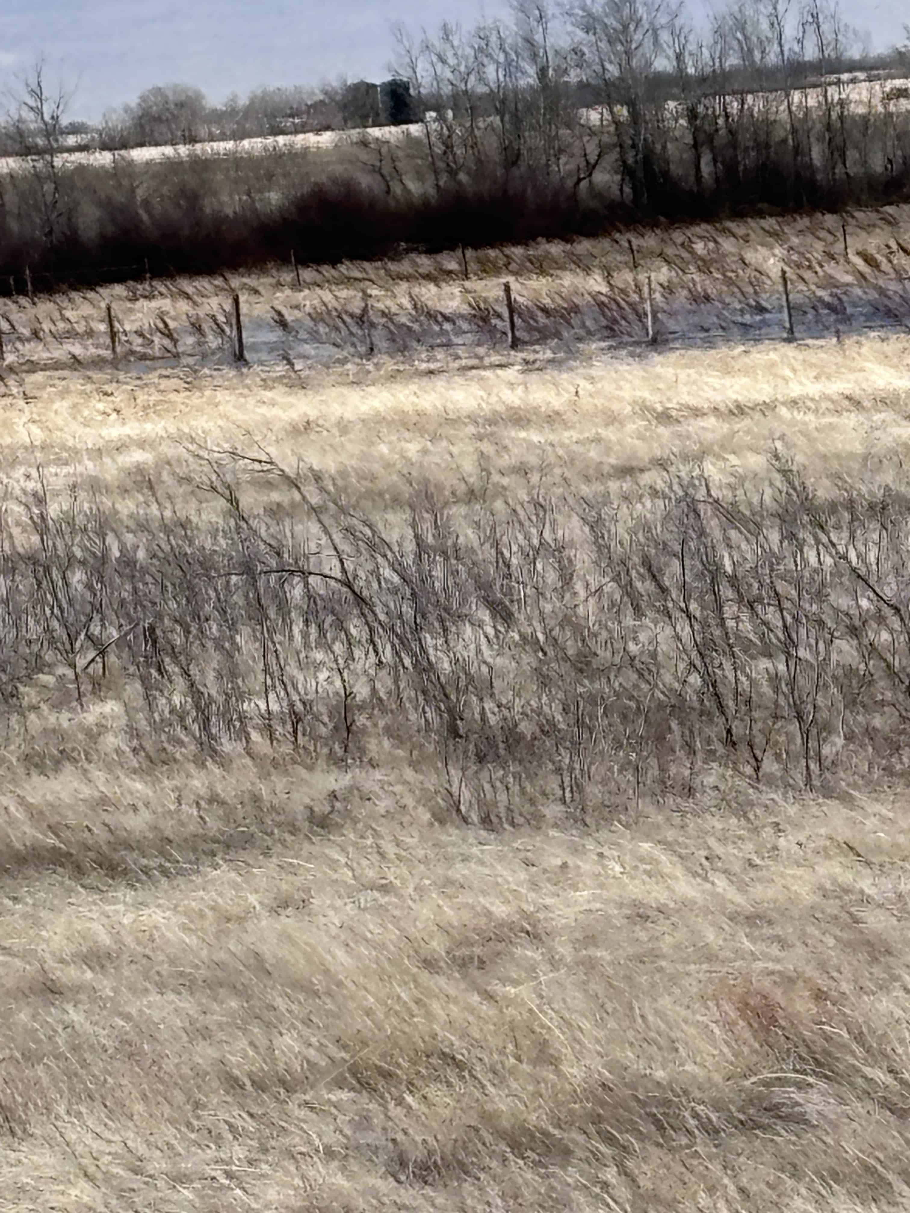 Cornation AB