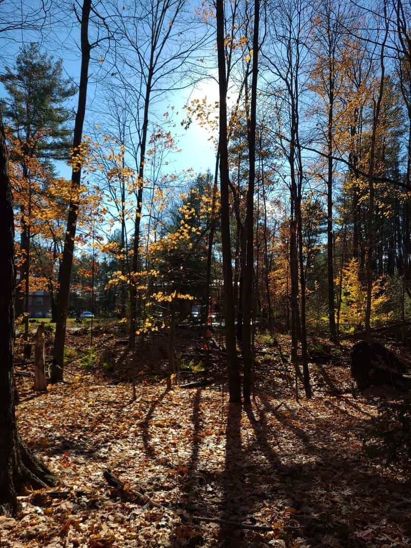 Essex Junction VT 05452
