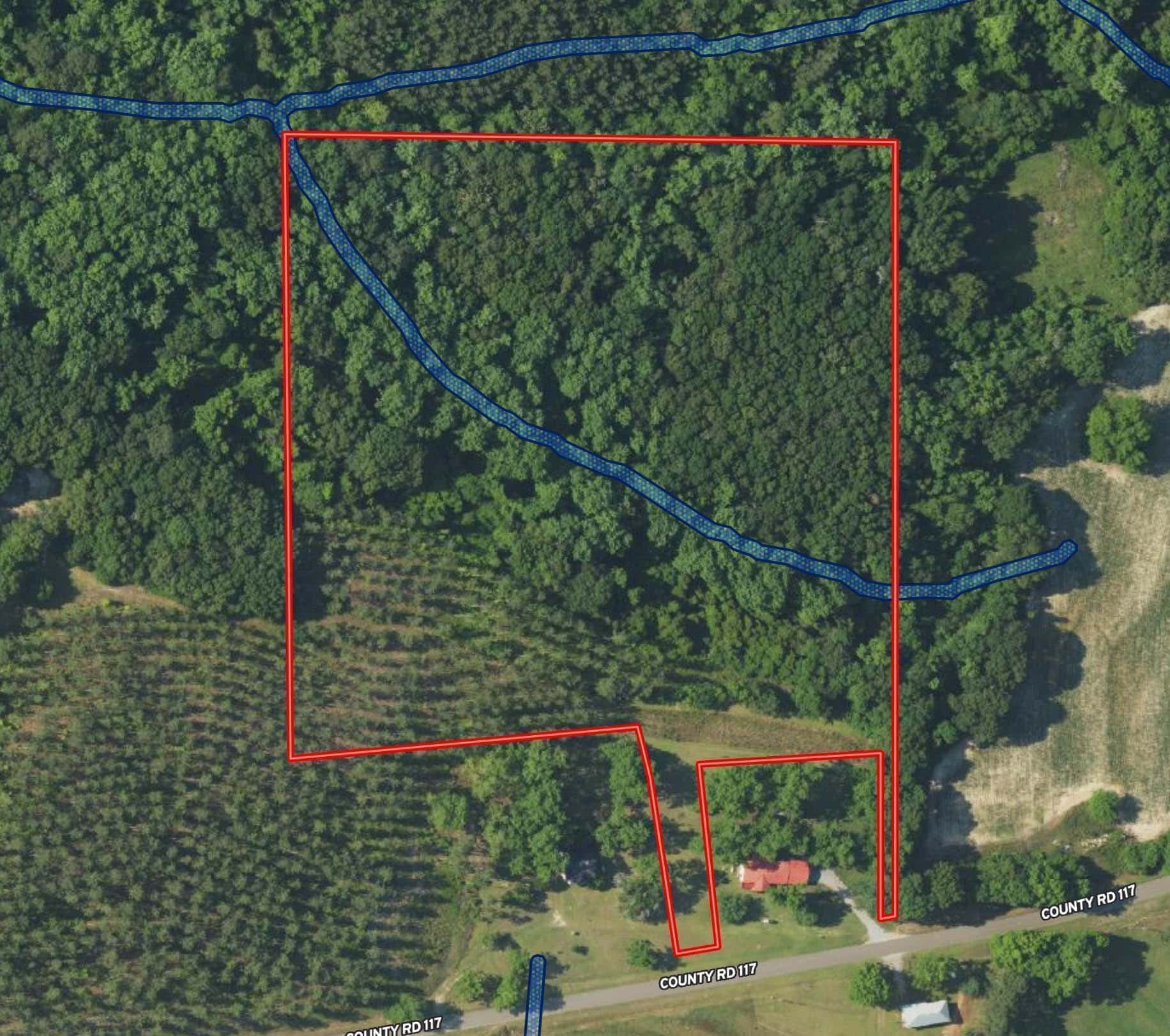 County Road 117 Ariton AL 36311