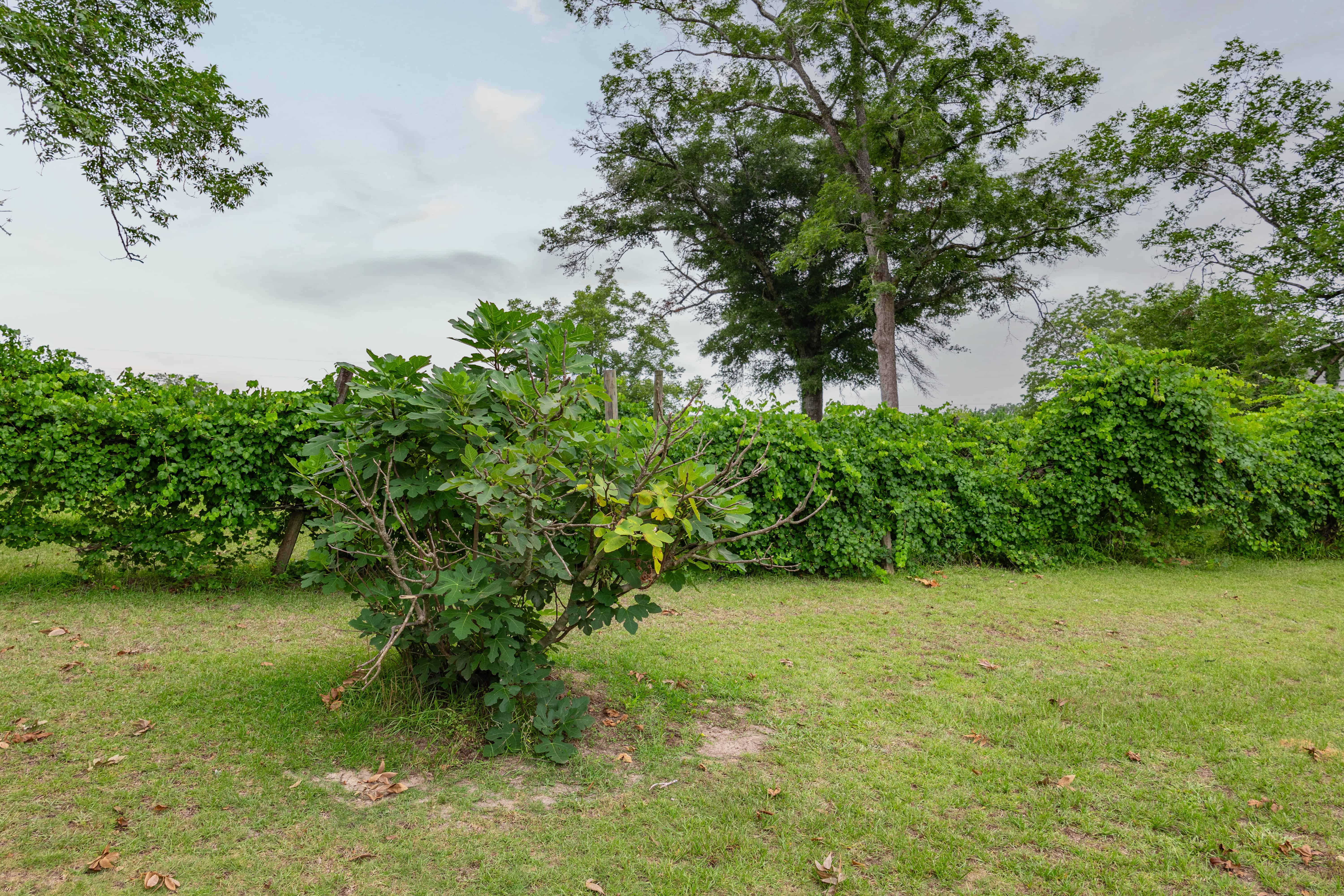 County Road 117 Ariton AL 36311