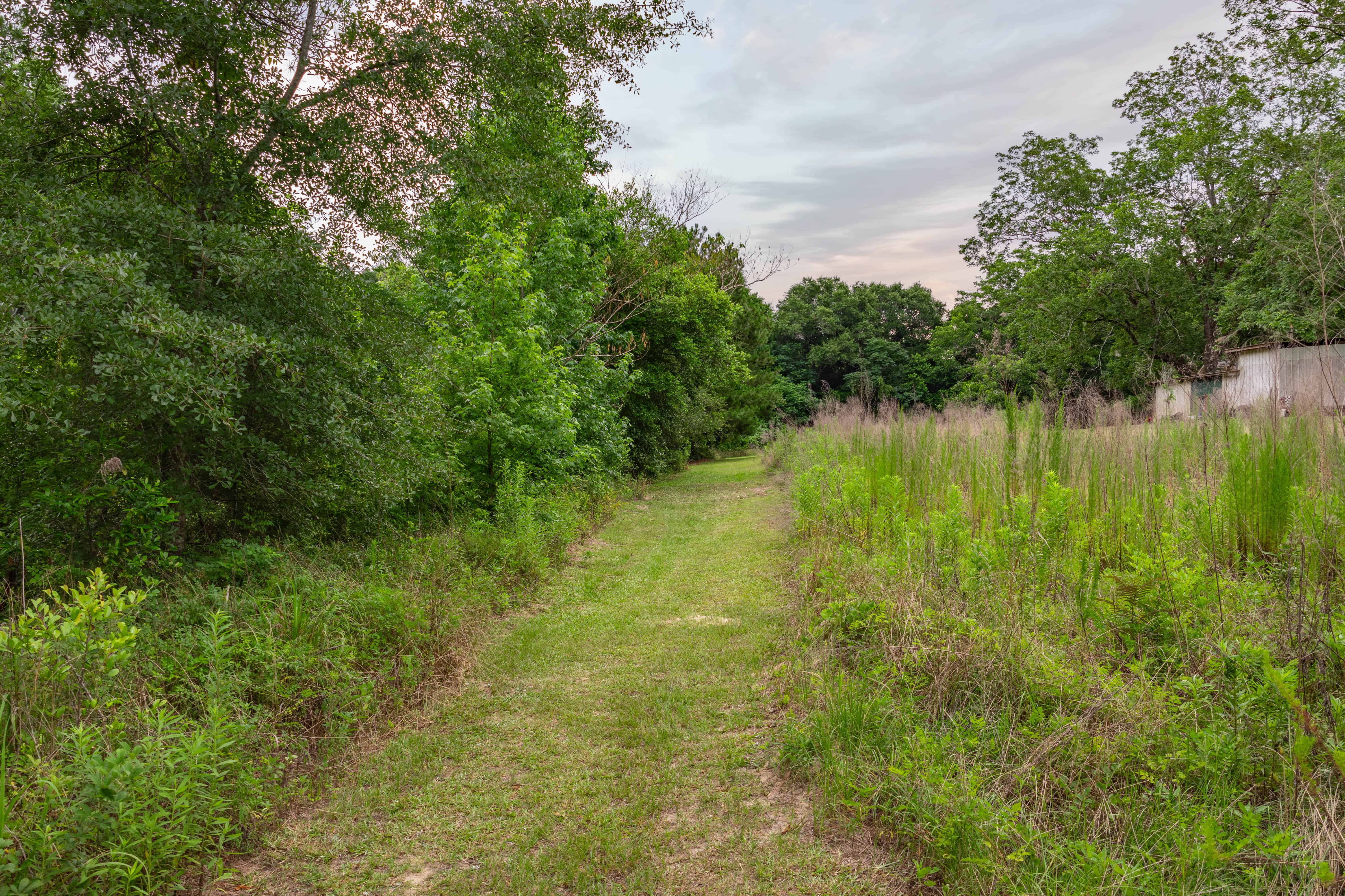 County Road 117 Ariton AL 36311