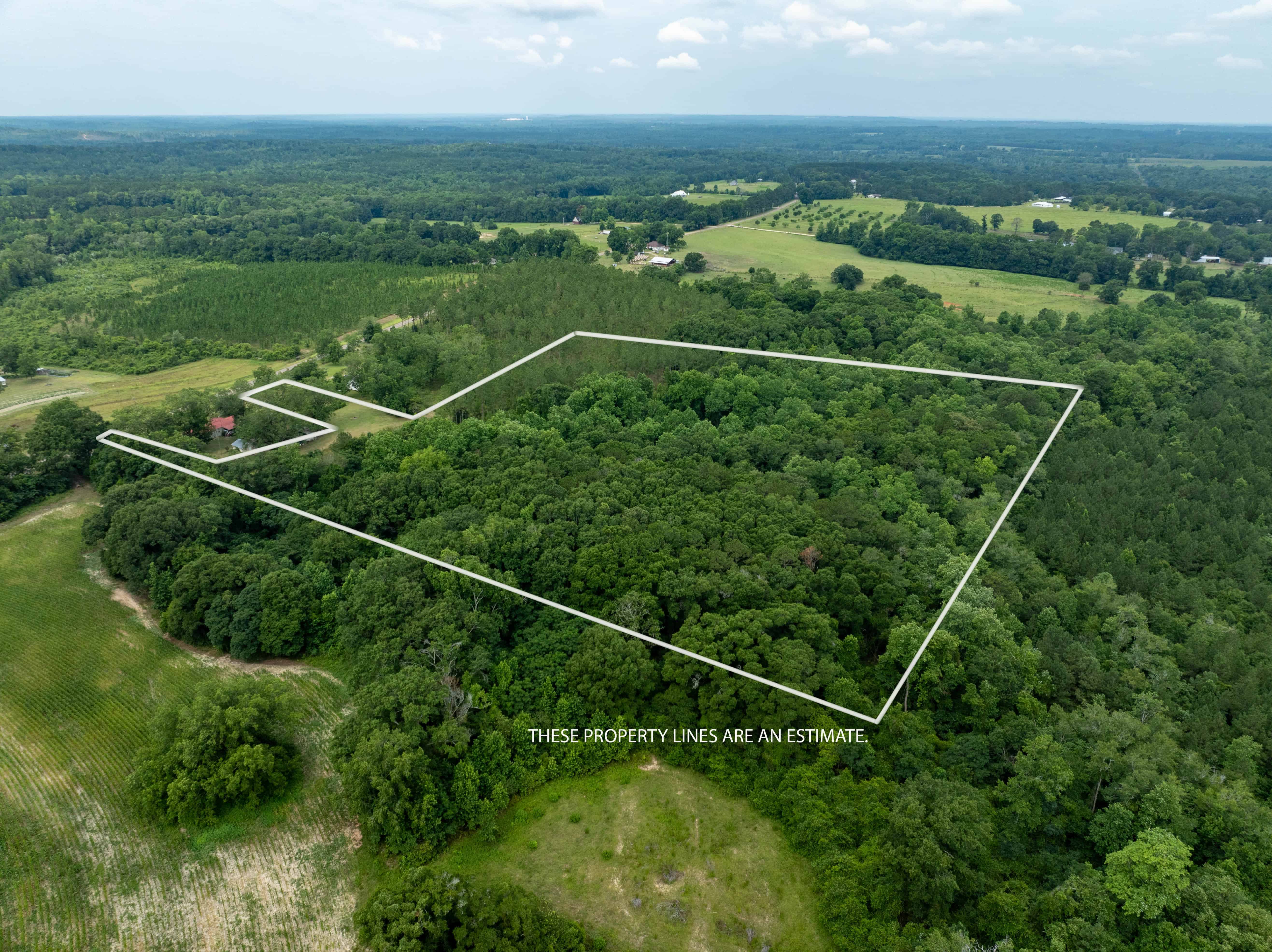 County Road 117 Ariton AL 36311